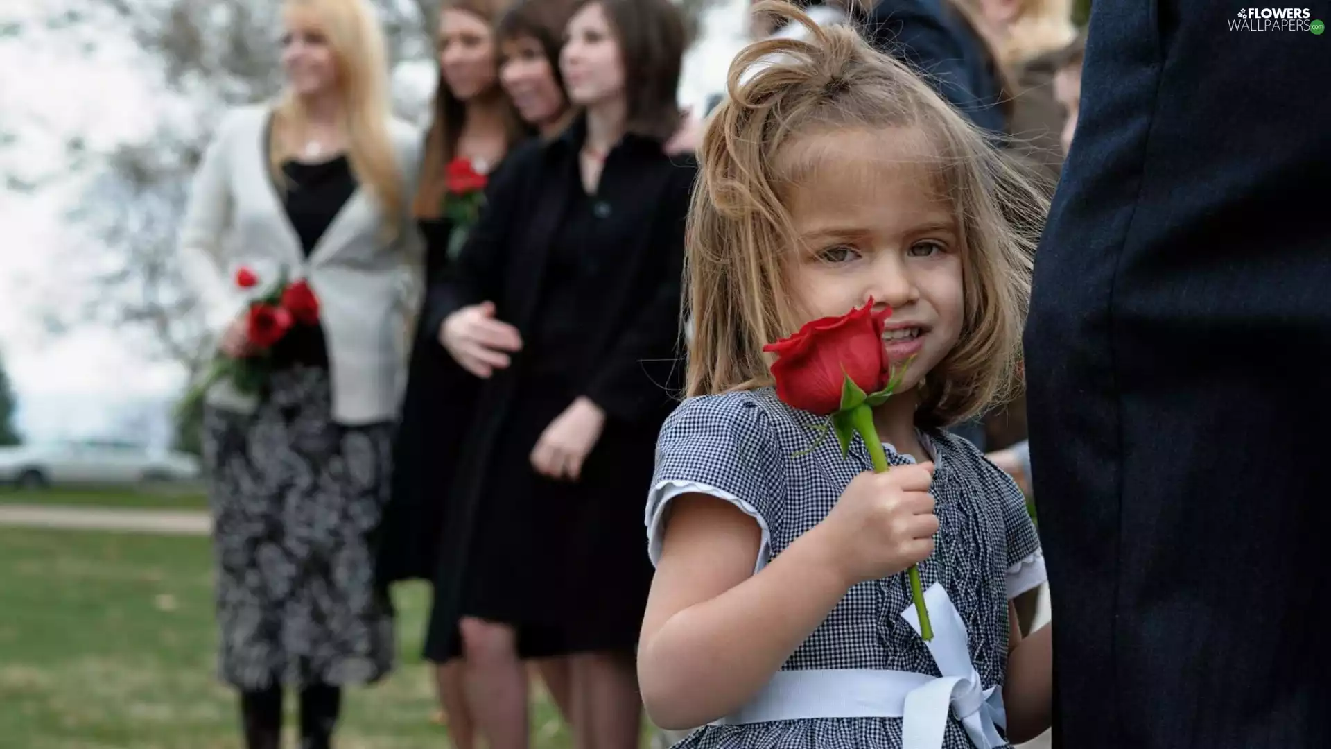 People, girl, rose, Kid