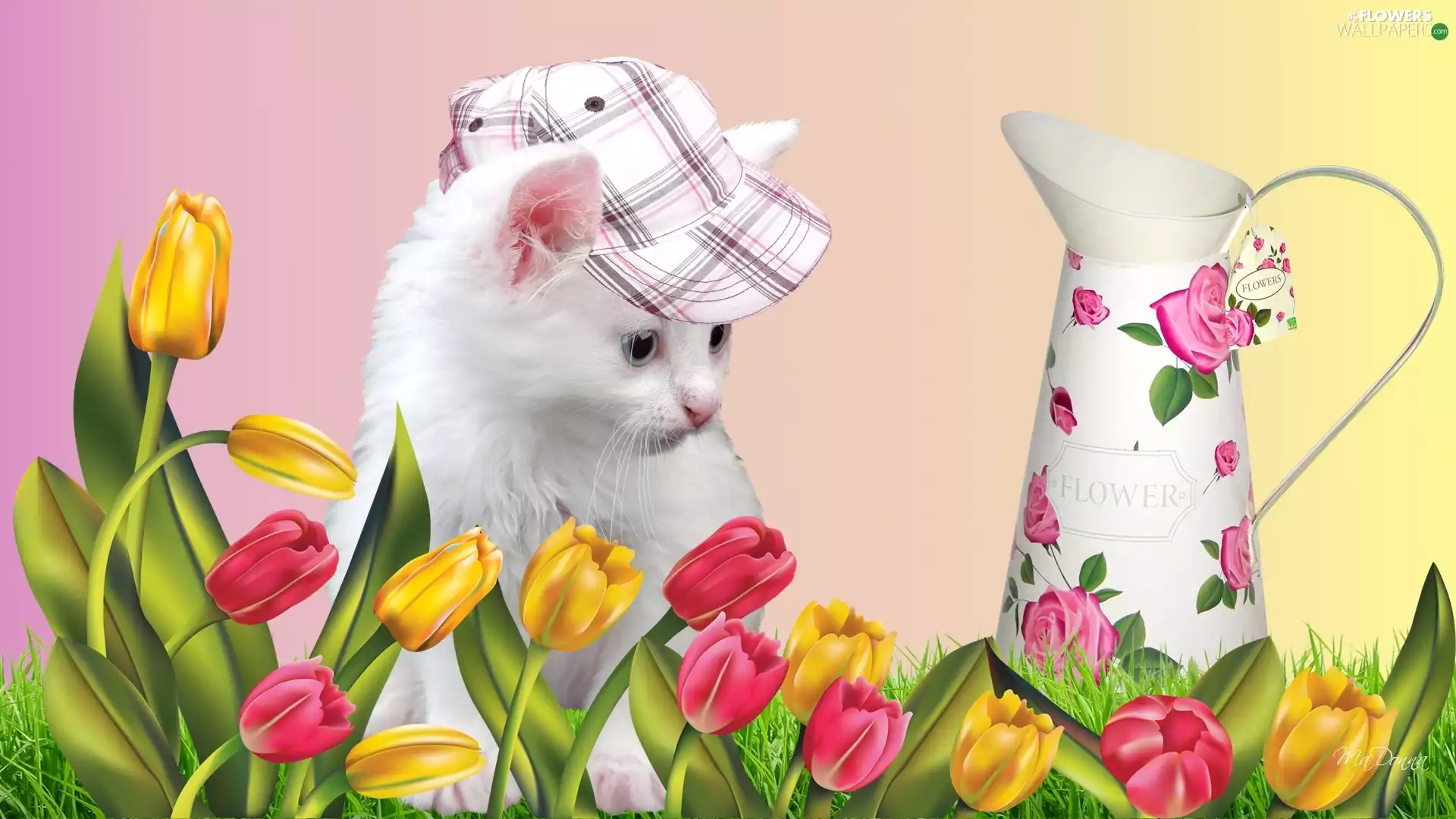 White, Hat, Tulips, kitten