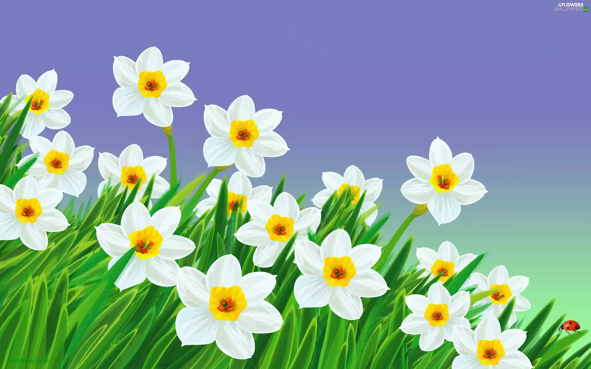 ladybird, Flowers, narcissus