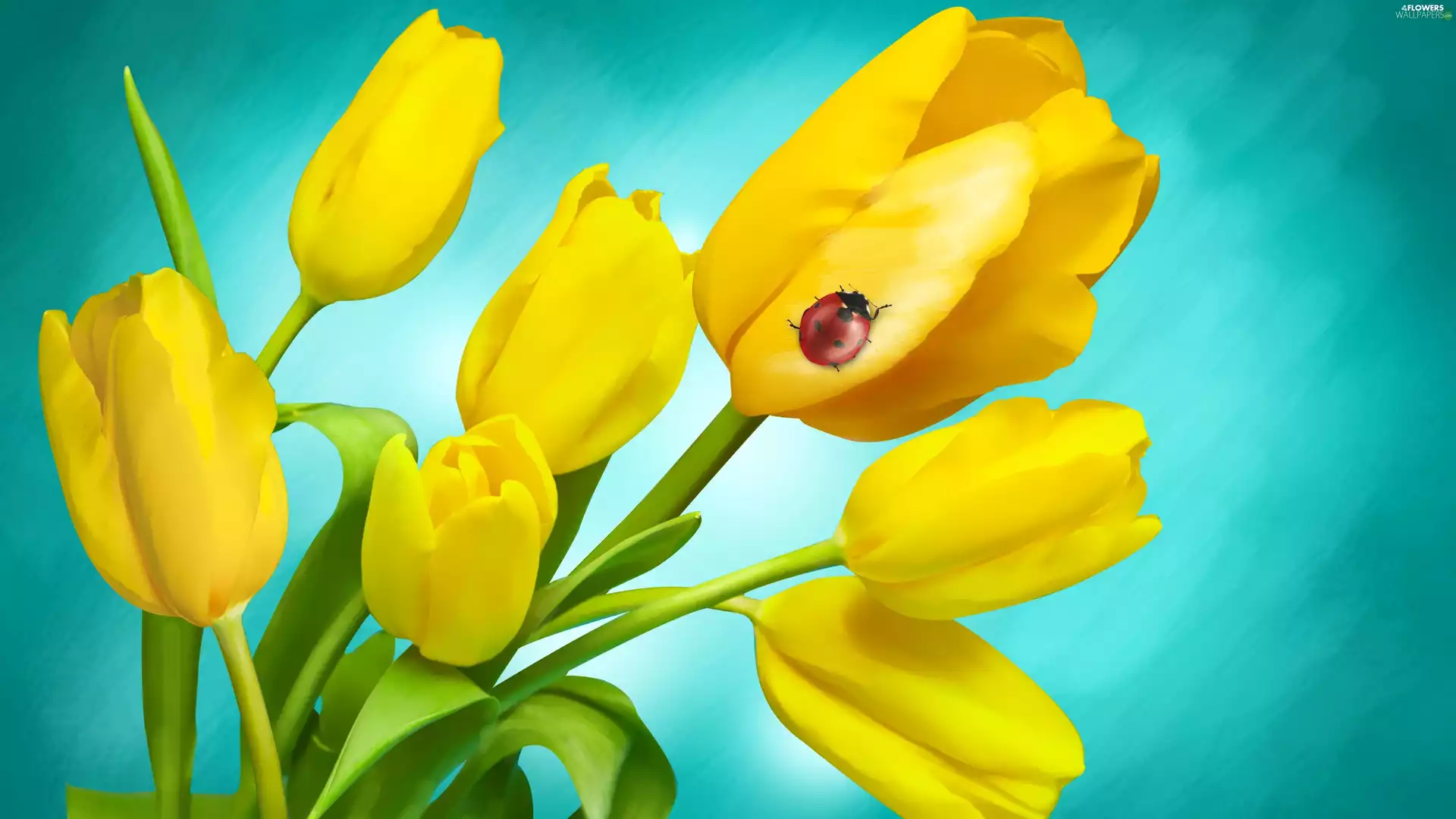 ladybird, Yellow, Tulips