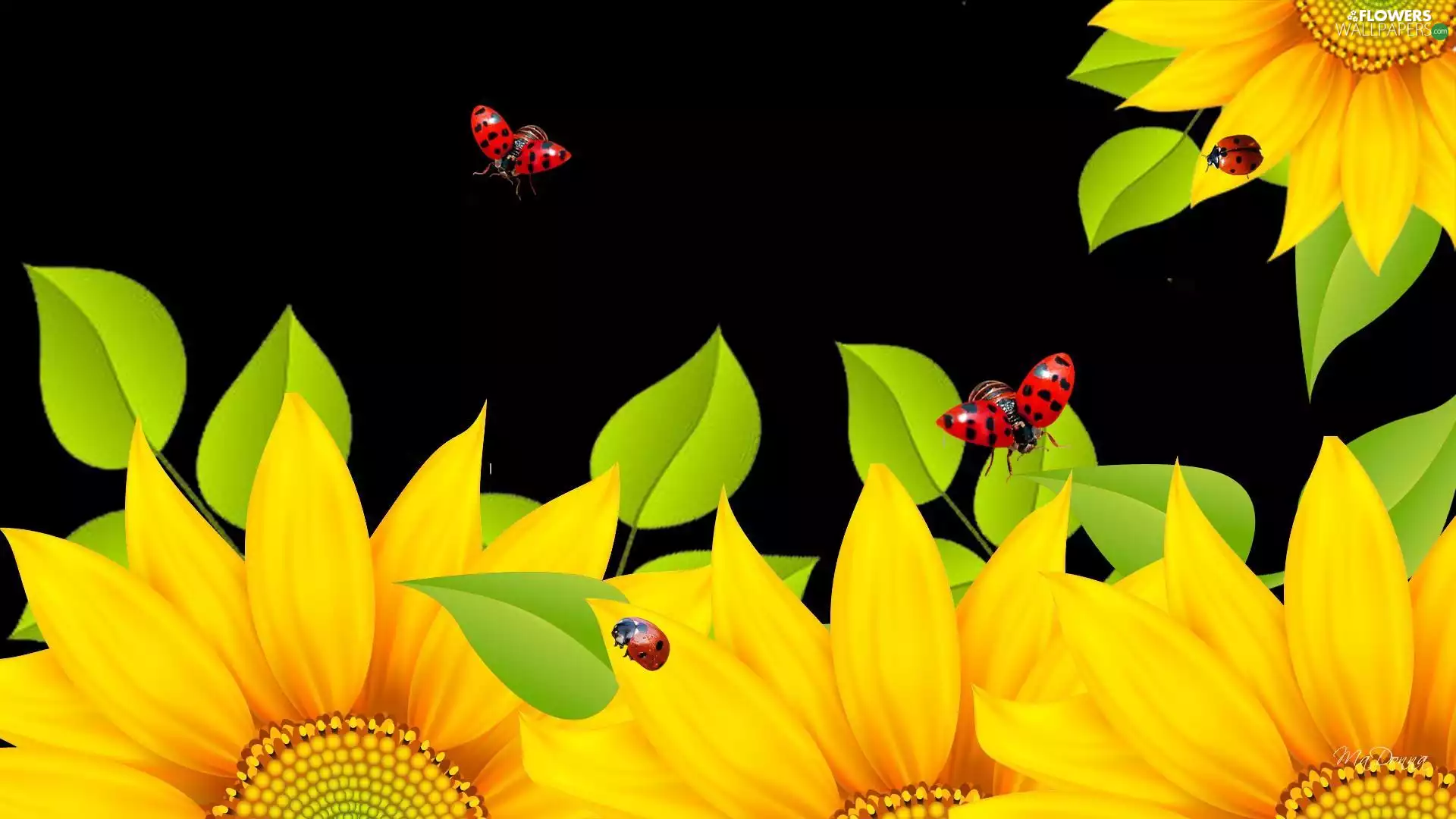 Art, Nice sunflowers, ladybugs