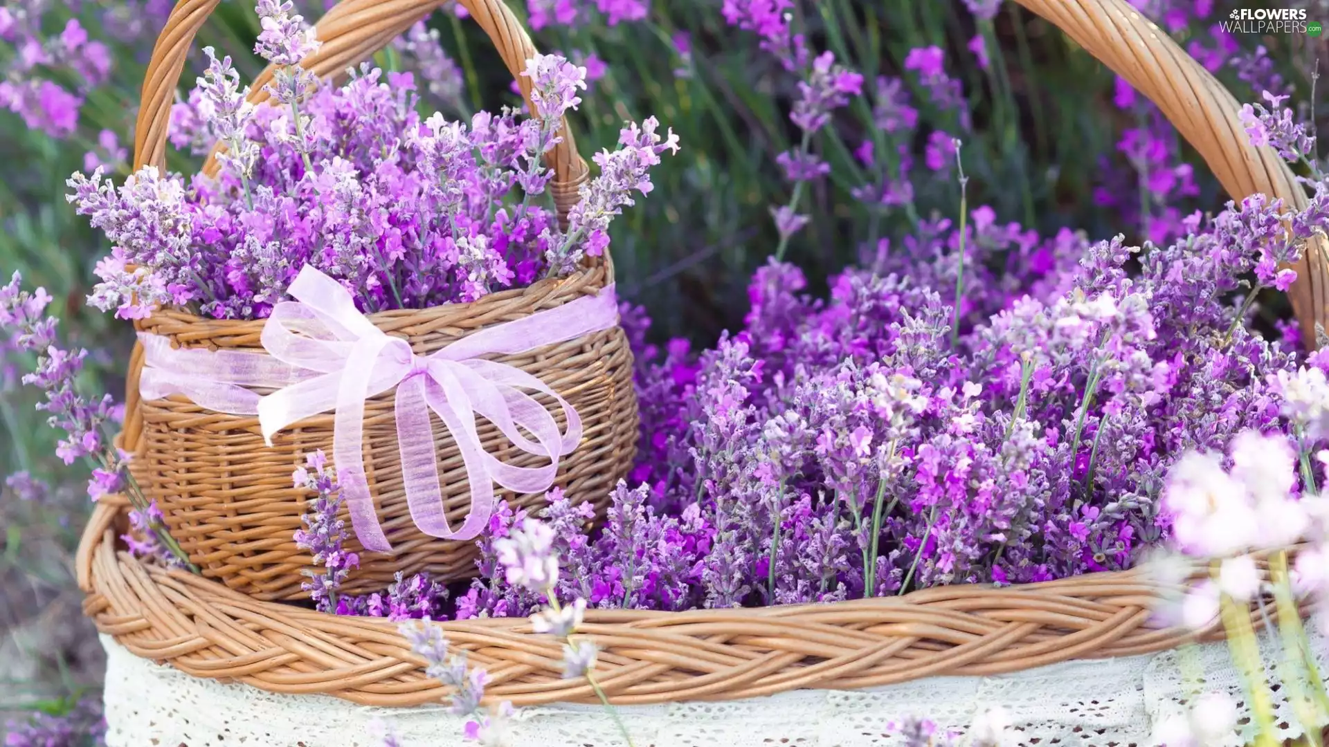 Flowers, lavender, Baskets, bows, wicker