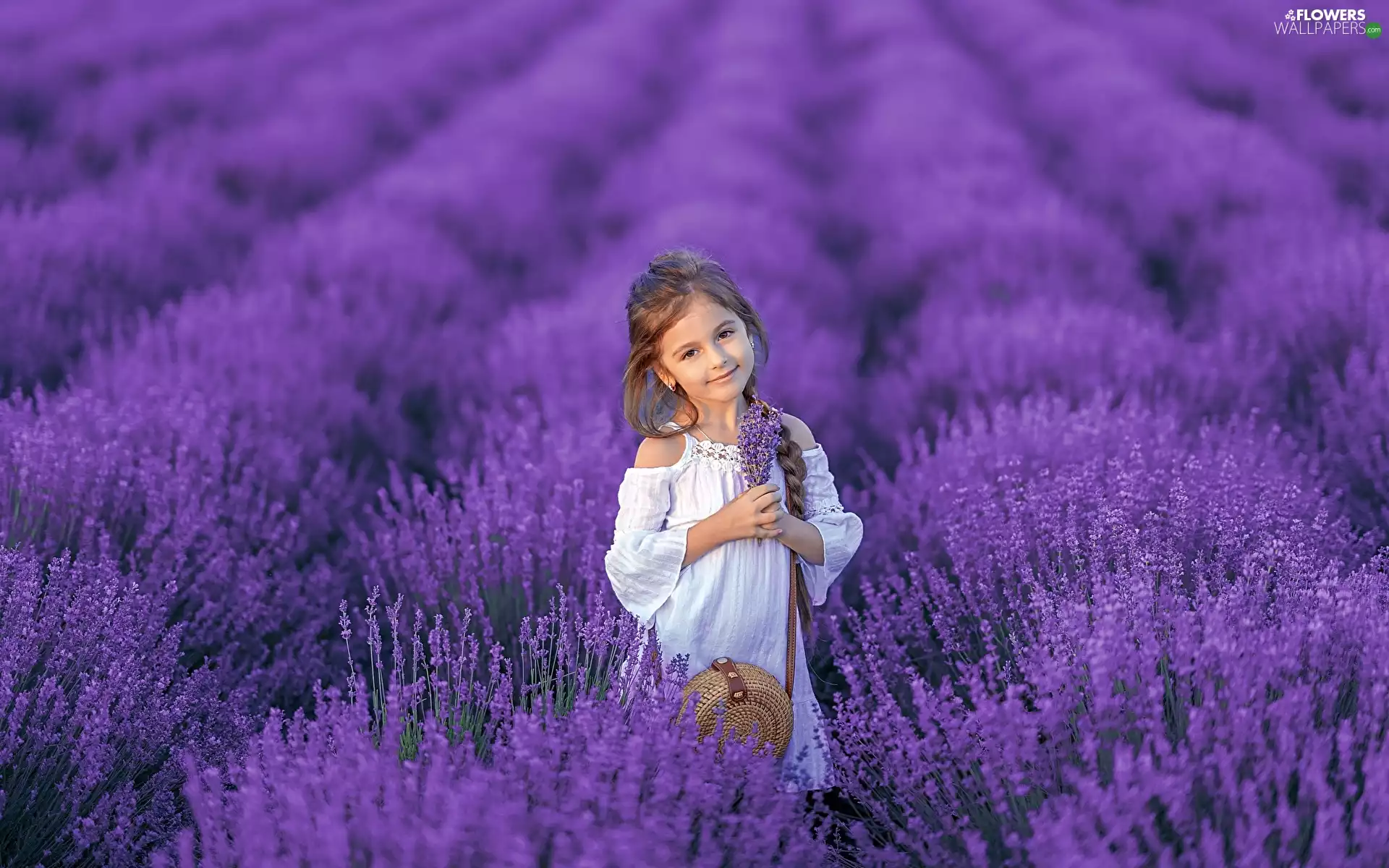 Field, Kid, girl, lavender