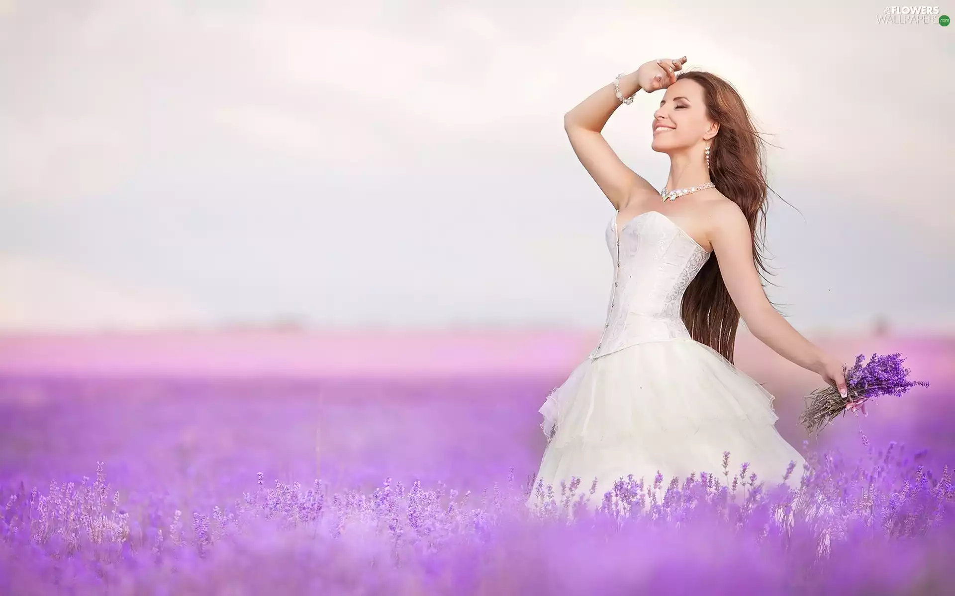 young, brunette, lavender, lavender, Field, lady