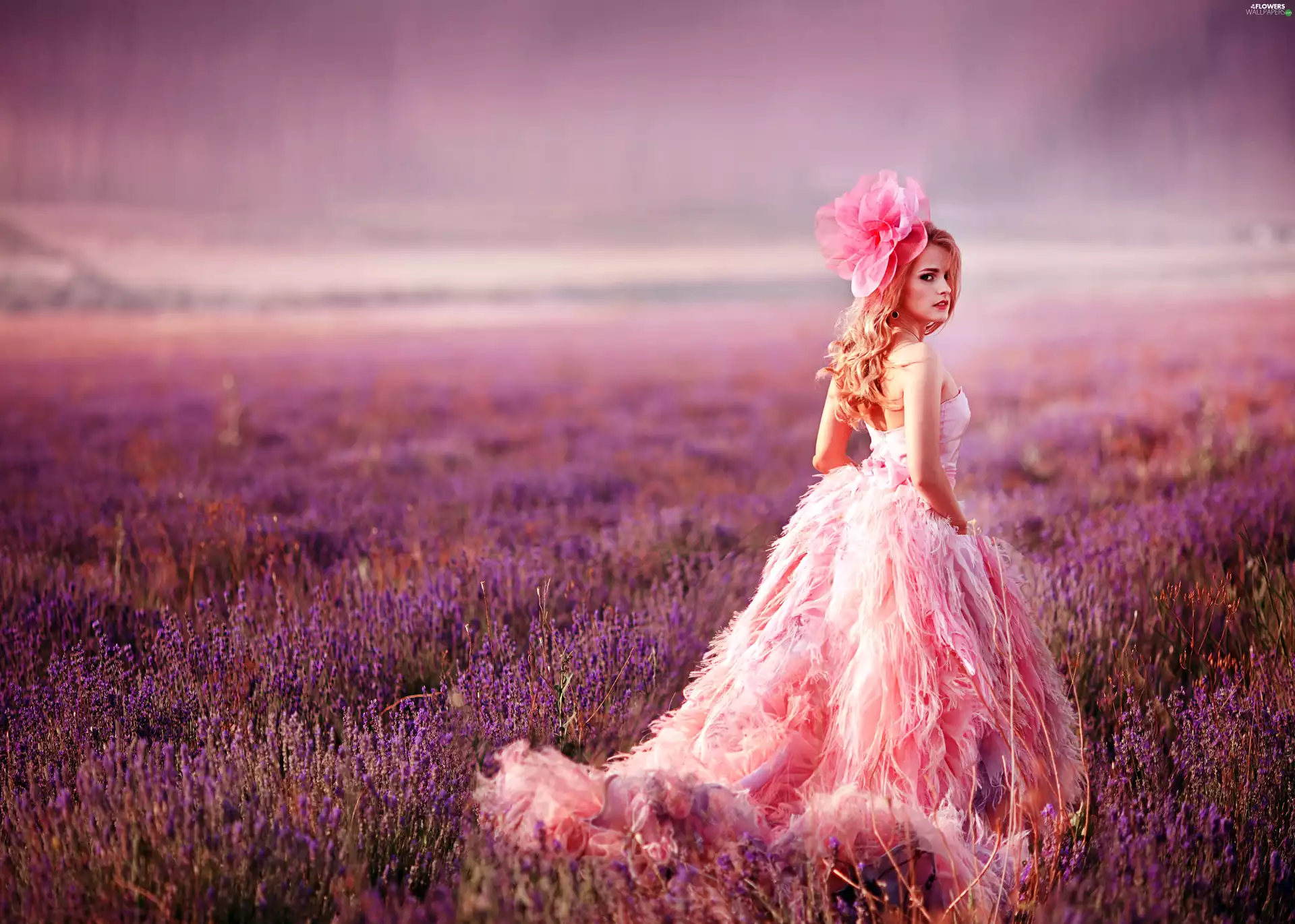 Pink, lavender, model, Dress, Women