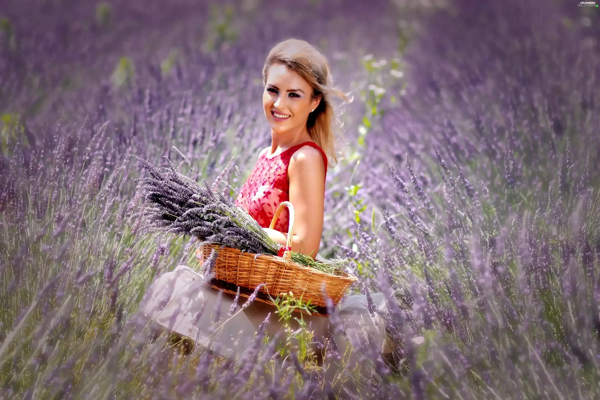 basket, Field of Lavender, girl, bunch, smiling