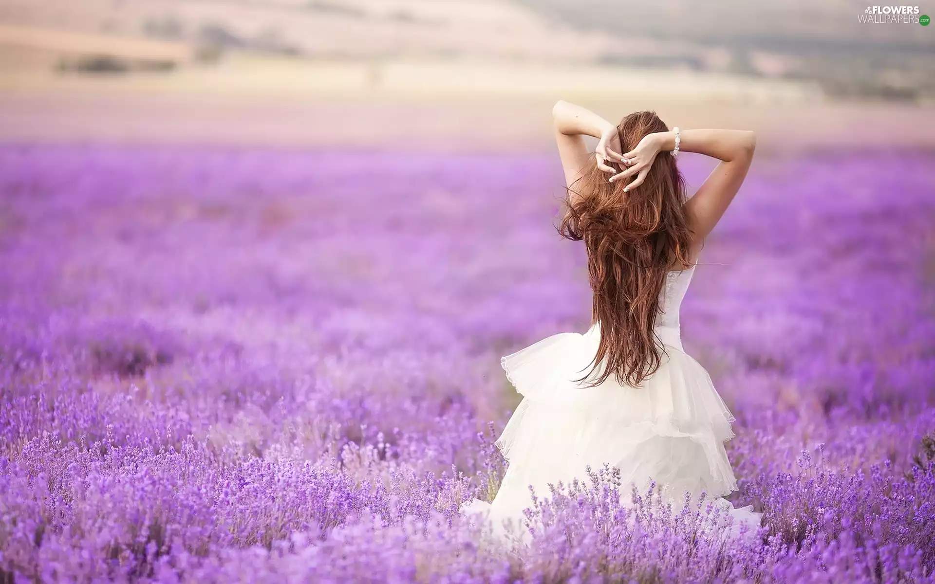 Meadow, lavender, young, brunette, lady