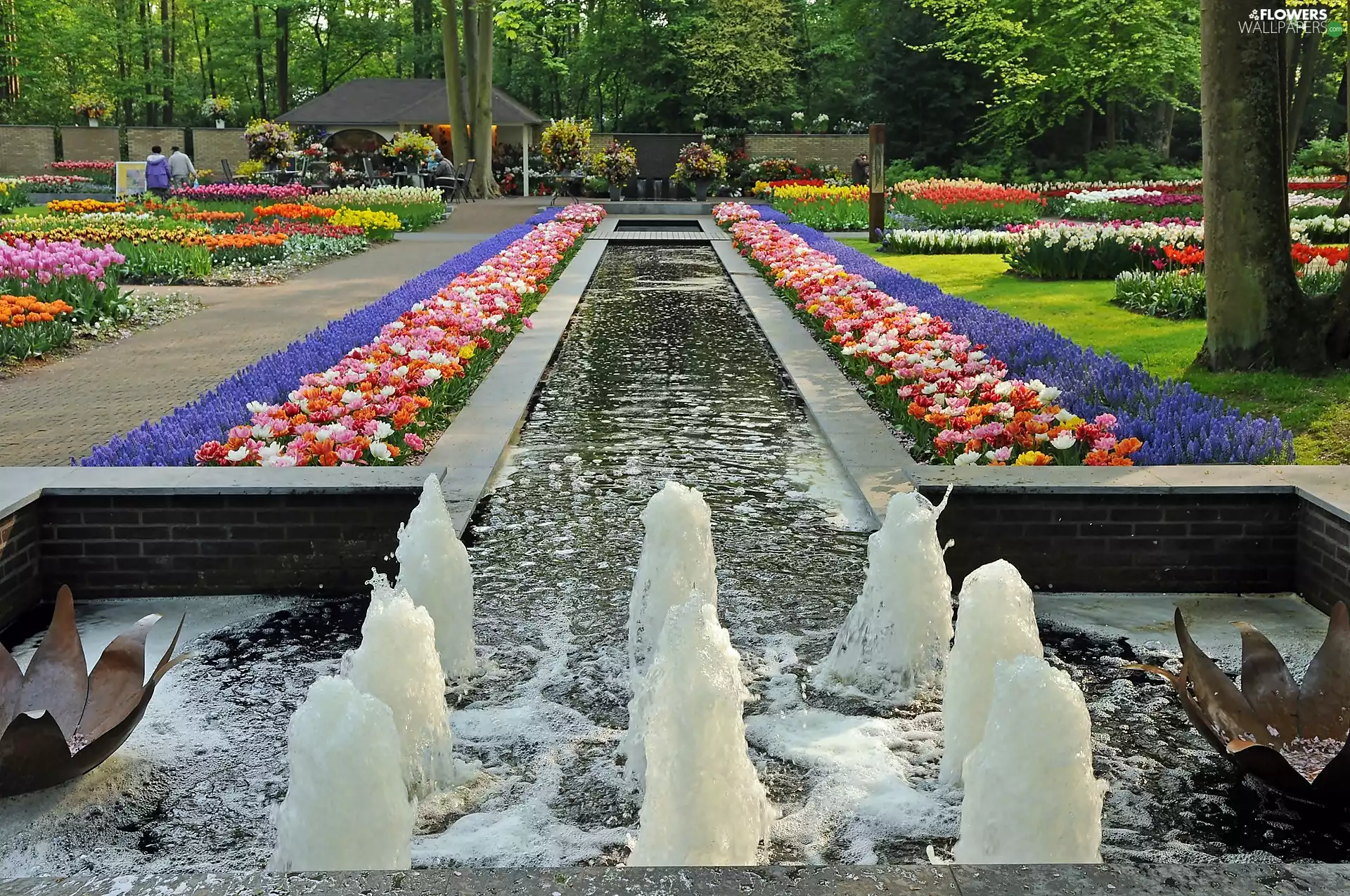 Keukenhof, Lisse, Floral Lawns, Netherlands, fountain, Park