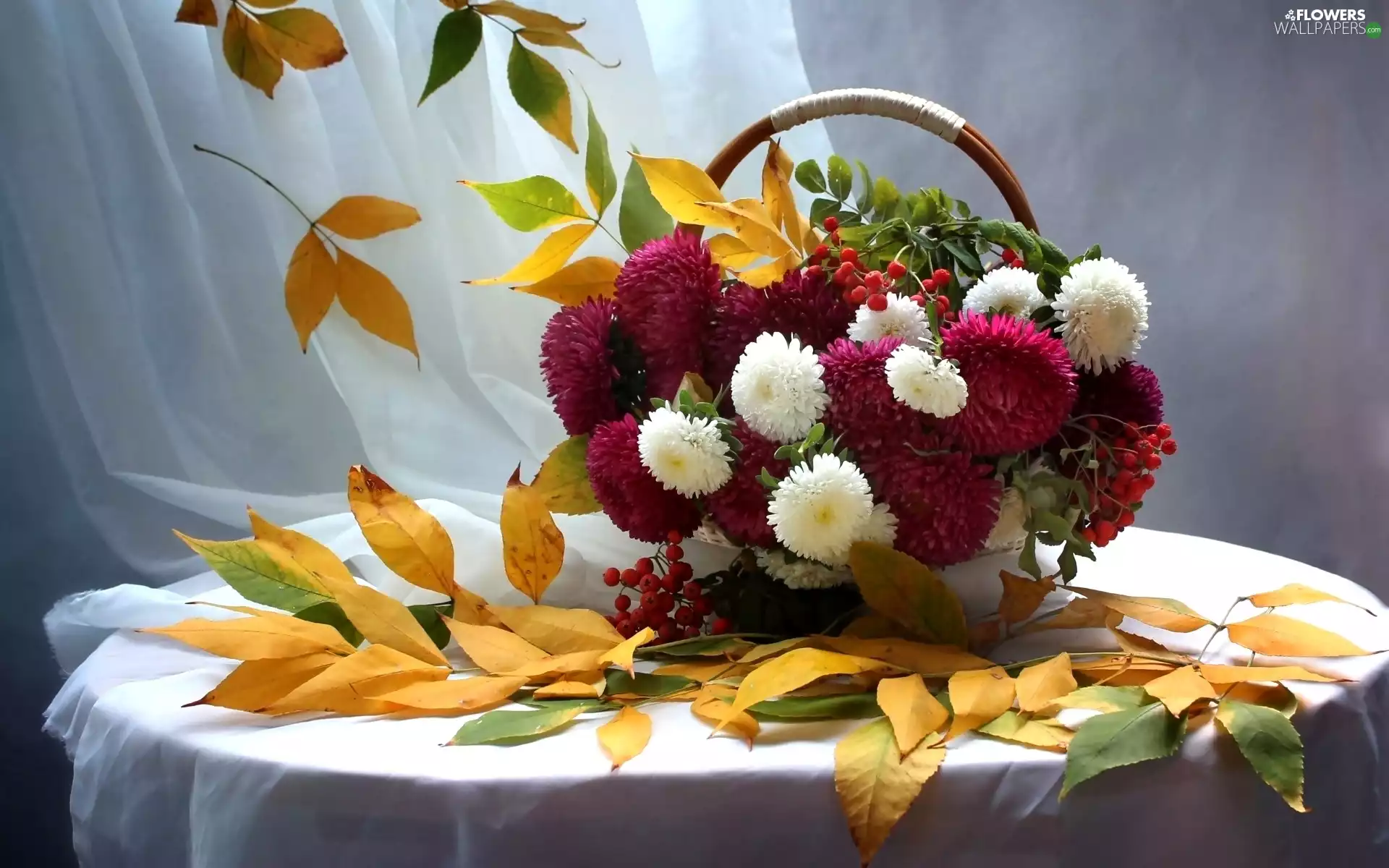 Flowers, Table, Autumn, Leaf, Astra, basket
