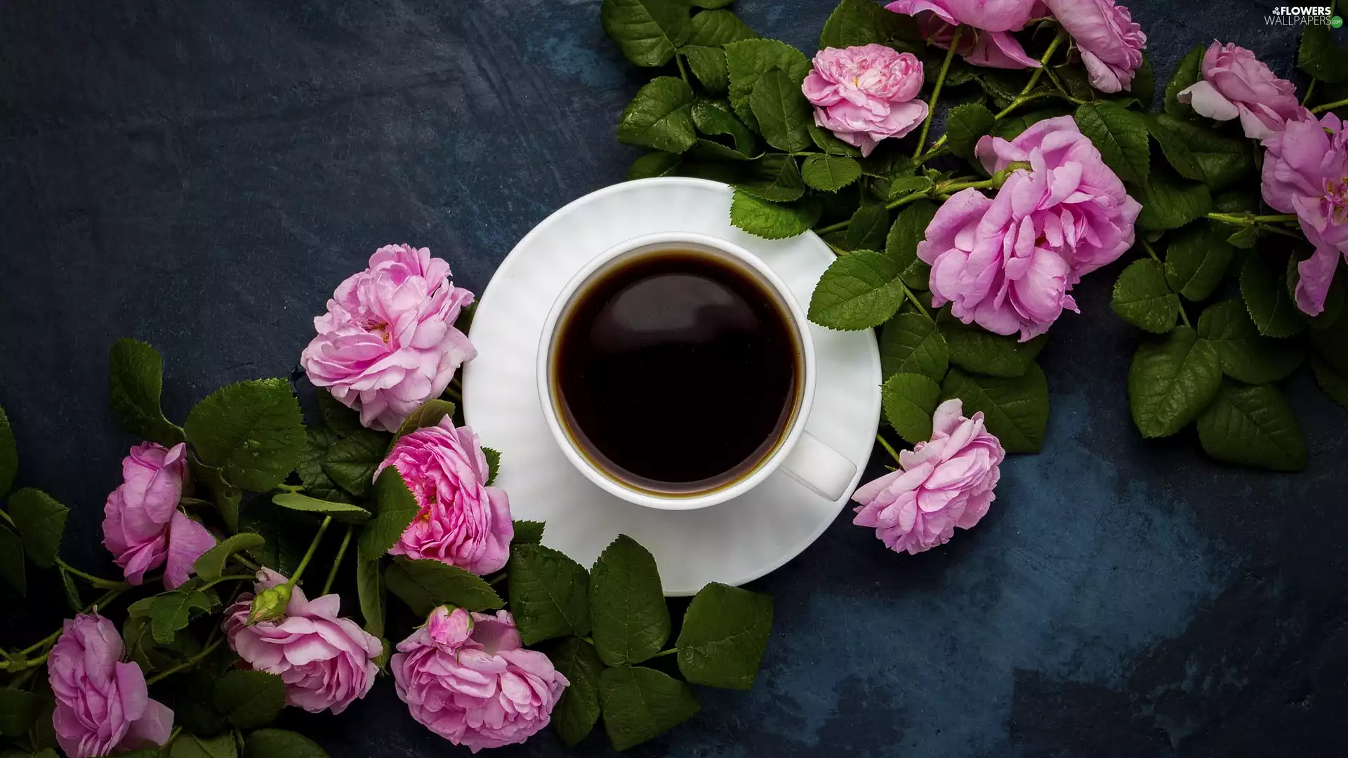 roses, Leaf, cup, Pink, coffee