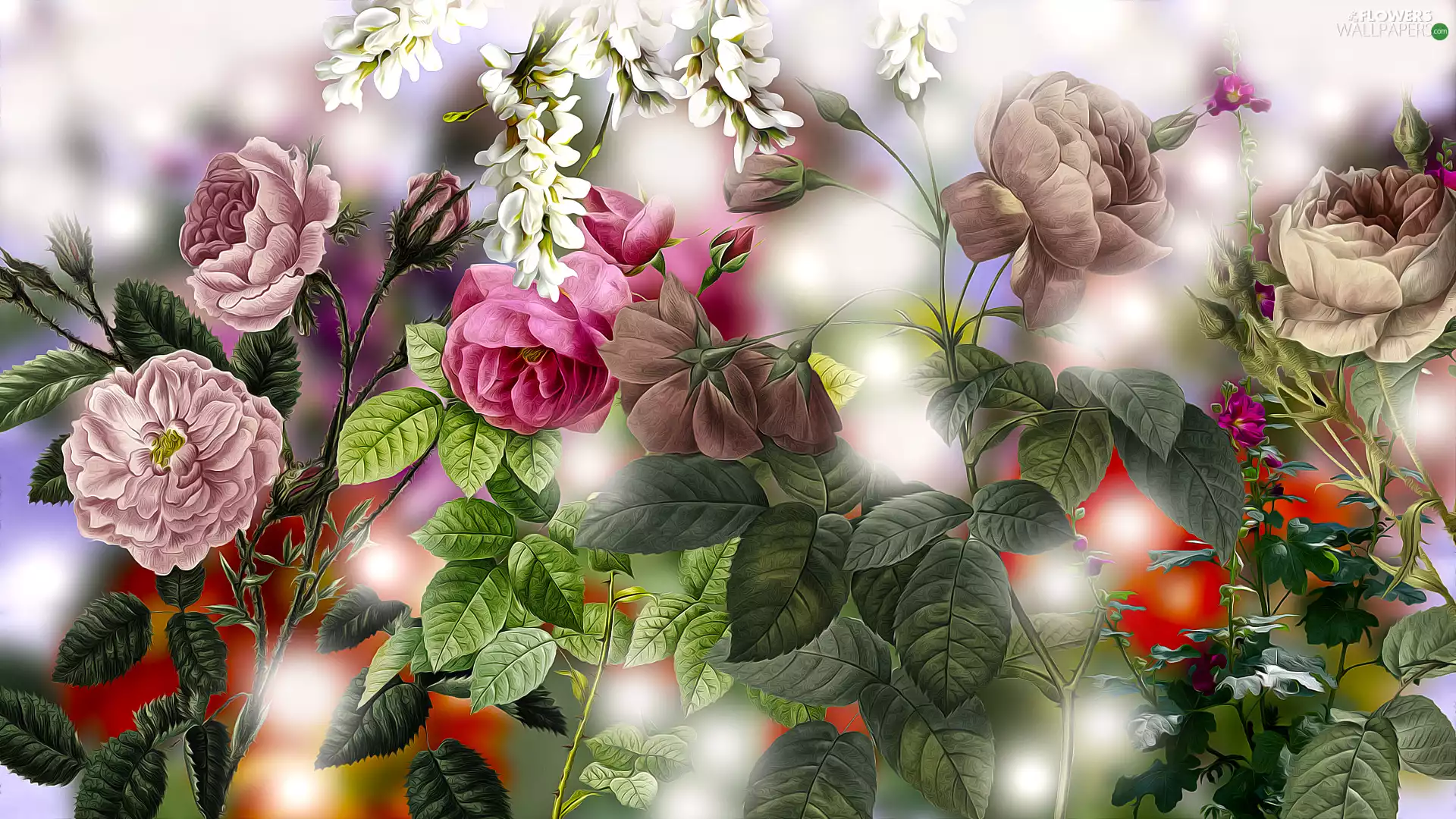Buds, Leaf, Flowers, roses, graphics