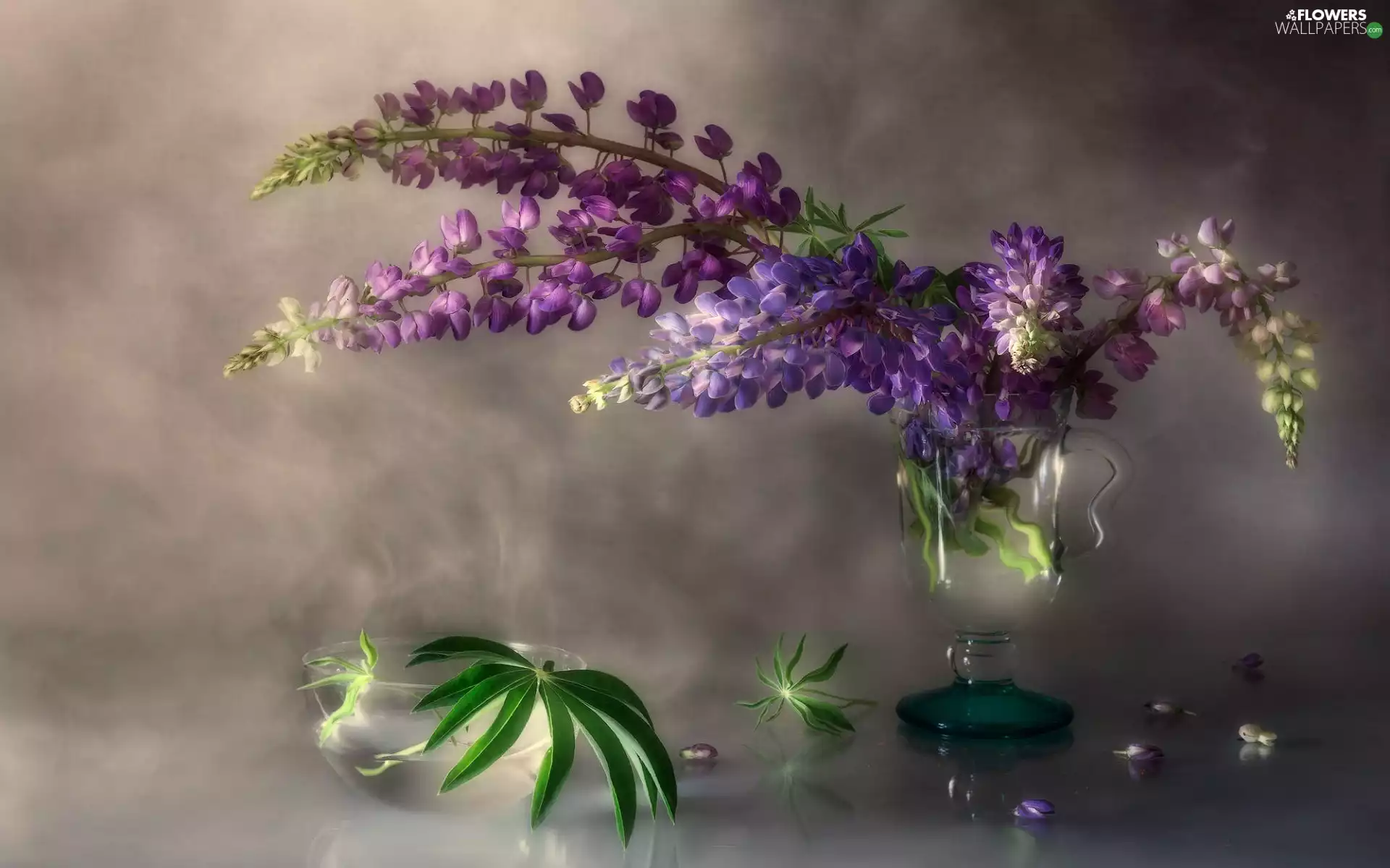 bowl, Leaf, lupine, cup, bouquet