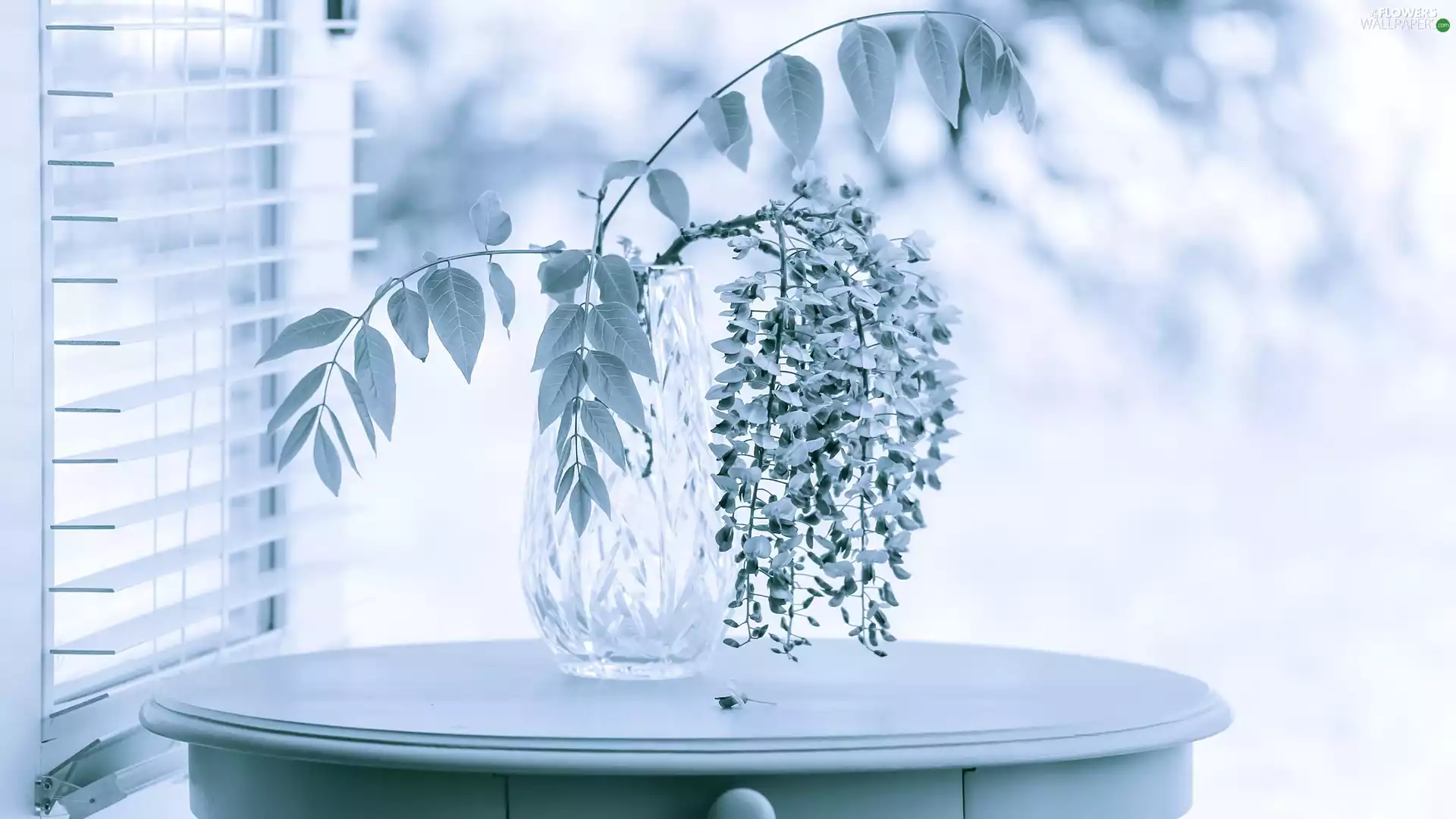 crystal, wistaria, Table, Leaf, twig, Vase, Window