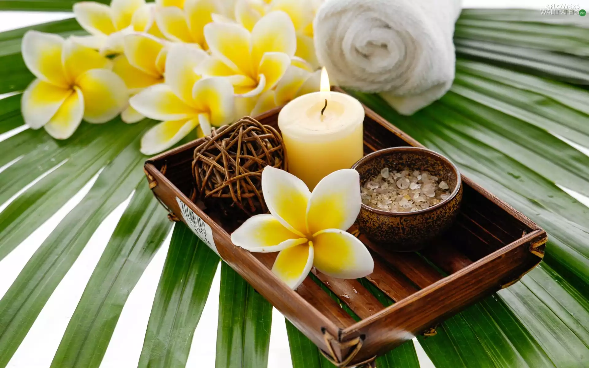 salt, Flowers, Towel, Plumeria, Tray, candle, Spa, leaf