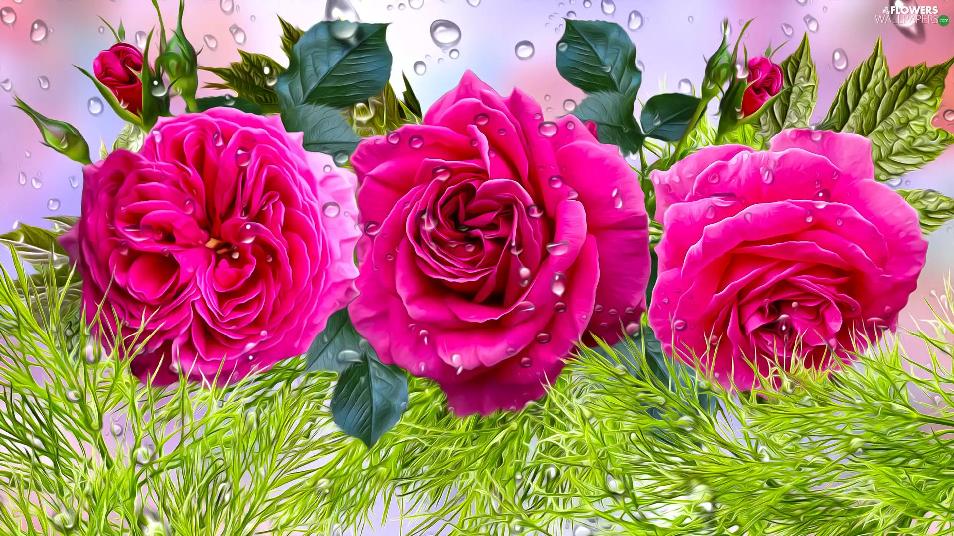 Pink, roses, graphics, Buds, drops, Three, Flowers, leaves