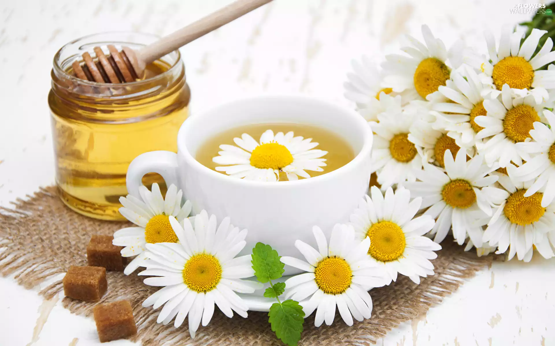 camomiles, jar, tablecloth, tea, honey, Brown sugar, leaves