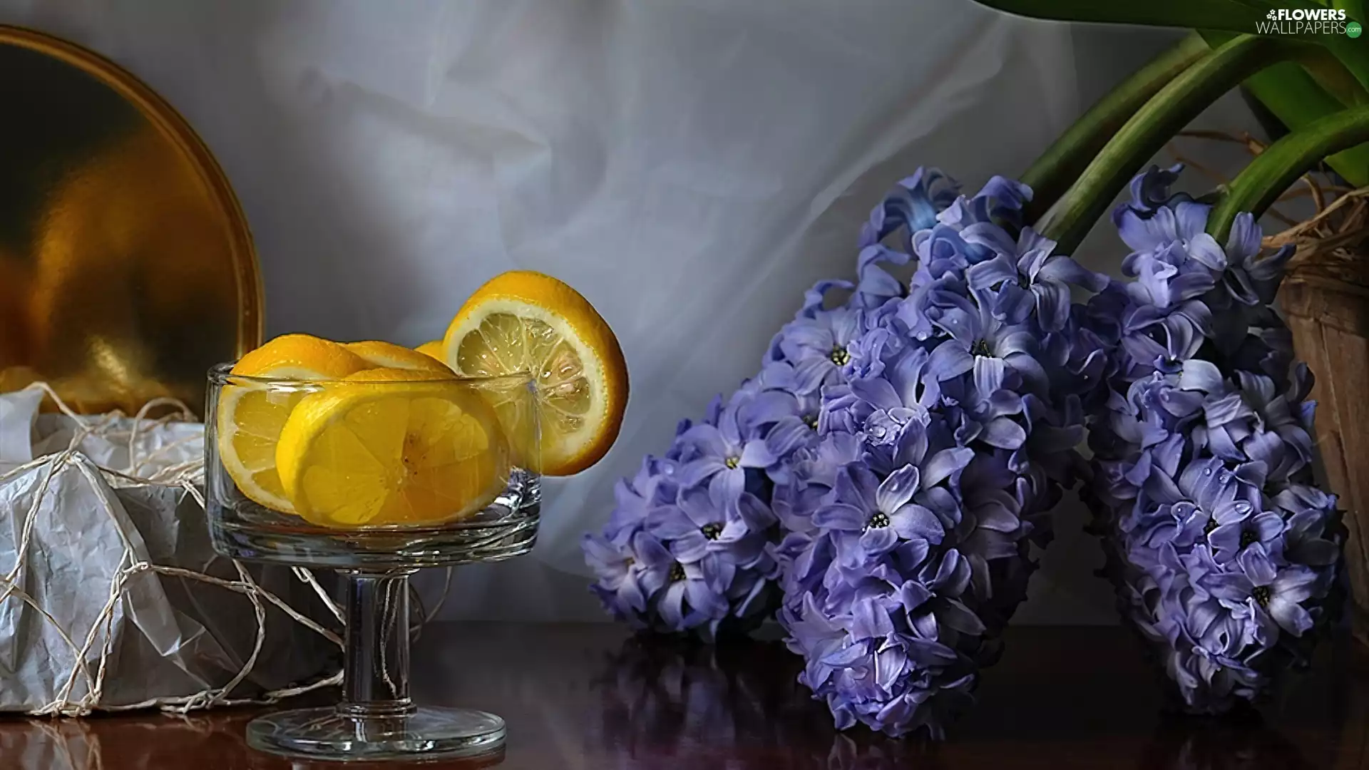 lemons, Hyacinths, glass