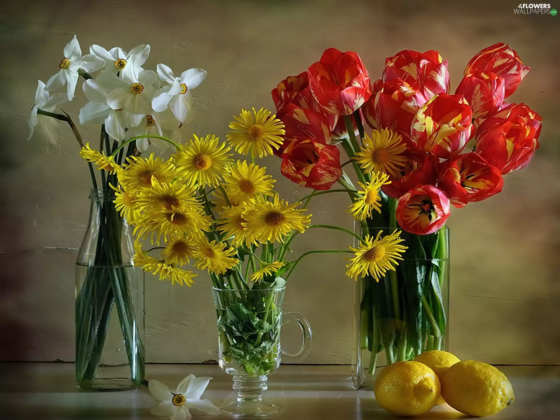 marguerites, lemons, tulips, narcissus, bouquet