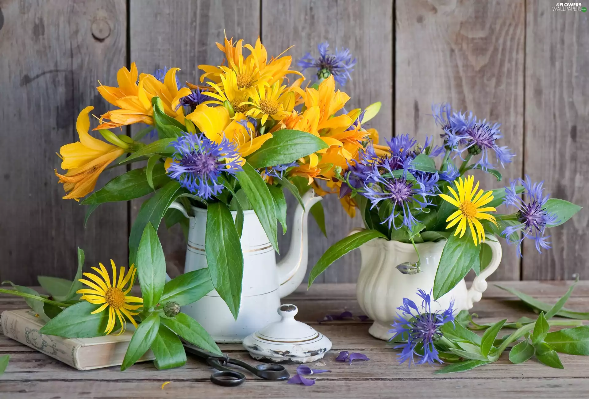 Flowers, composition, lilies, Leopards Bane, cornflowers, Bouquets