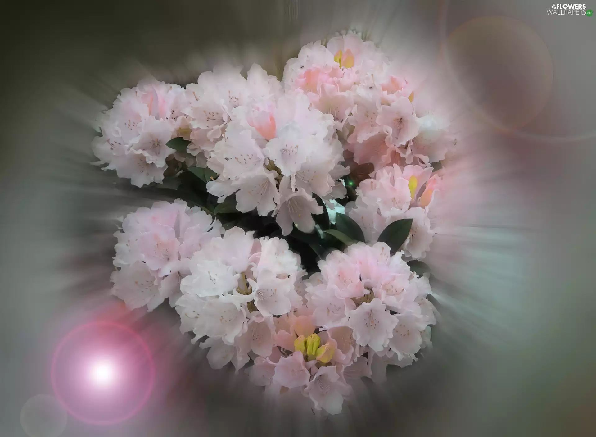 flowers, small bunch, light pink