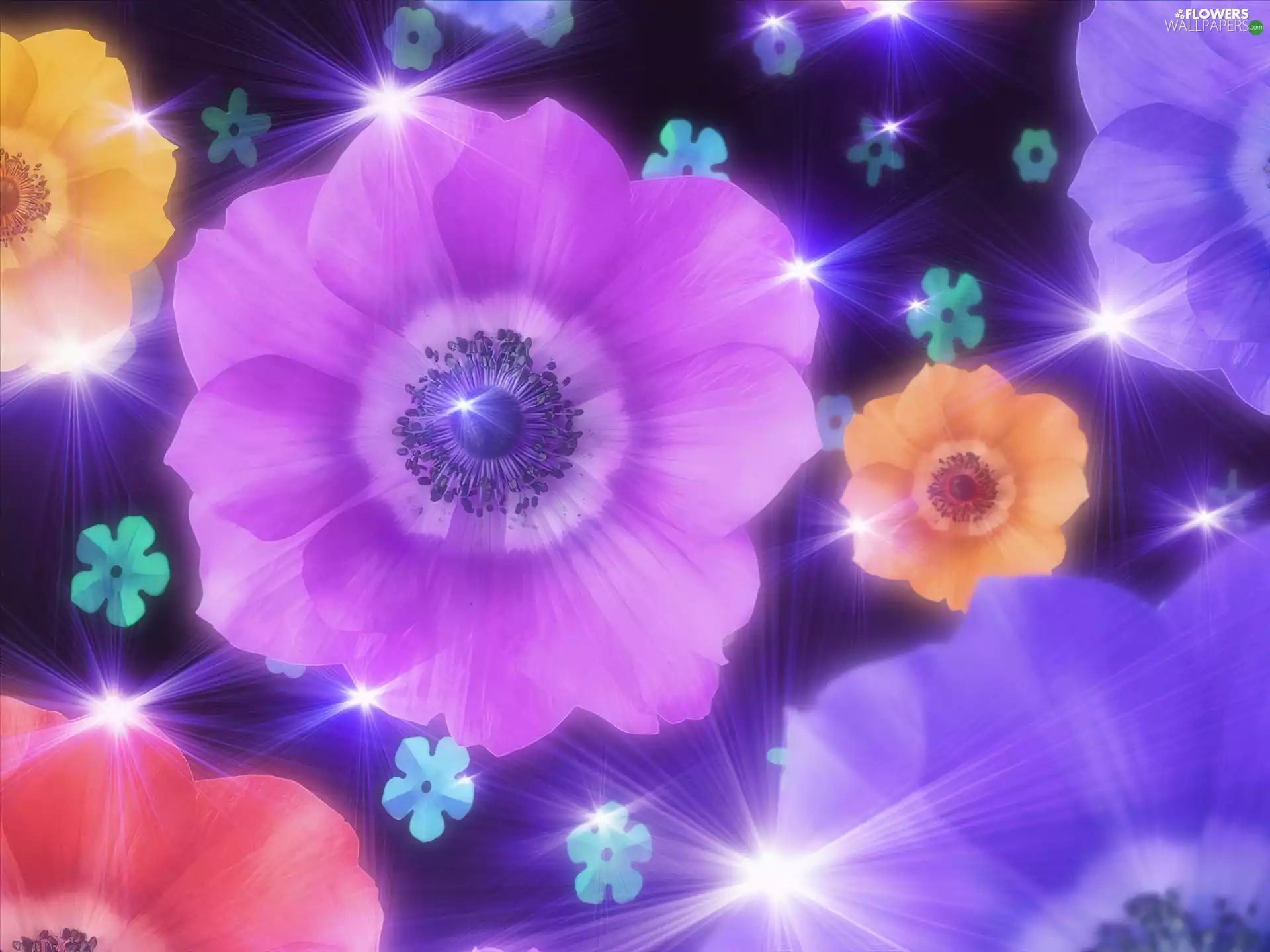 lights, color, papavers