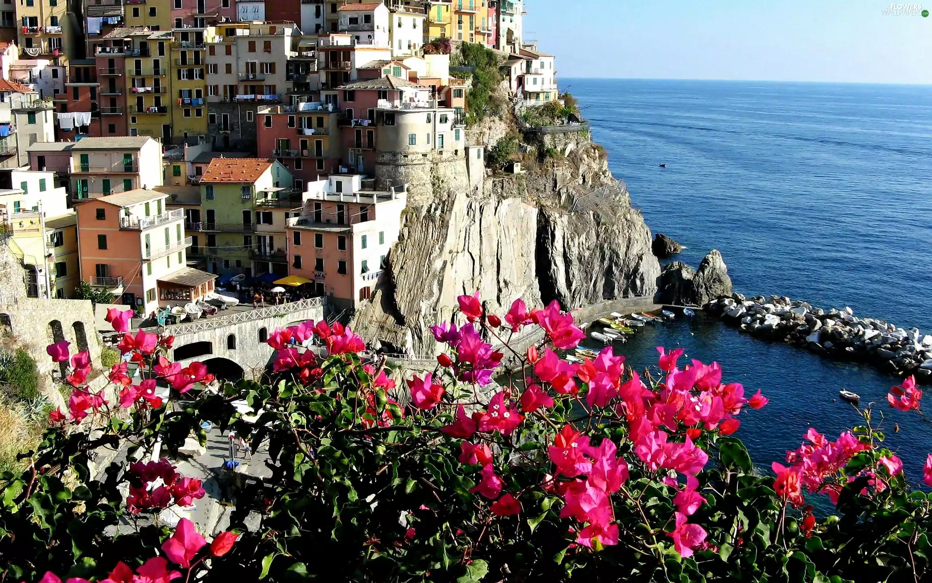 Bougainvillea, Liguria, Town, Riomaggiore, sea