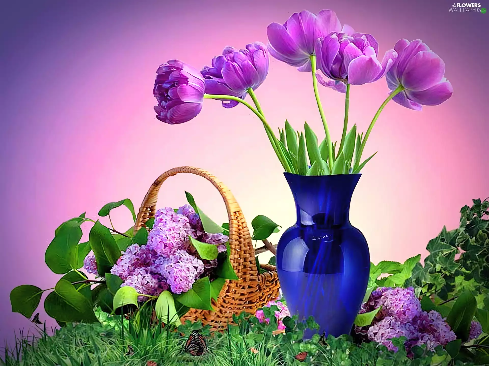 Vase, without, Tulips, lilac