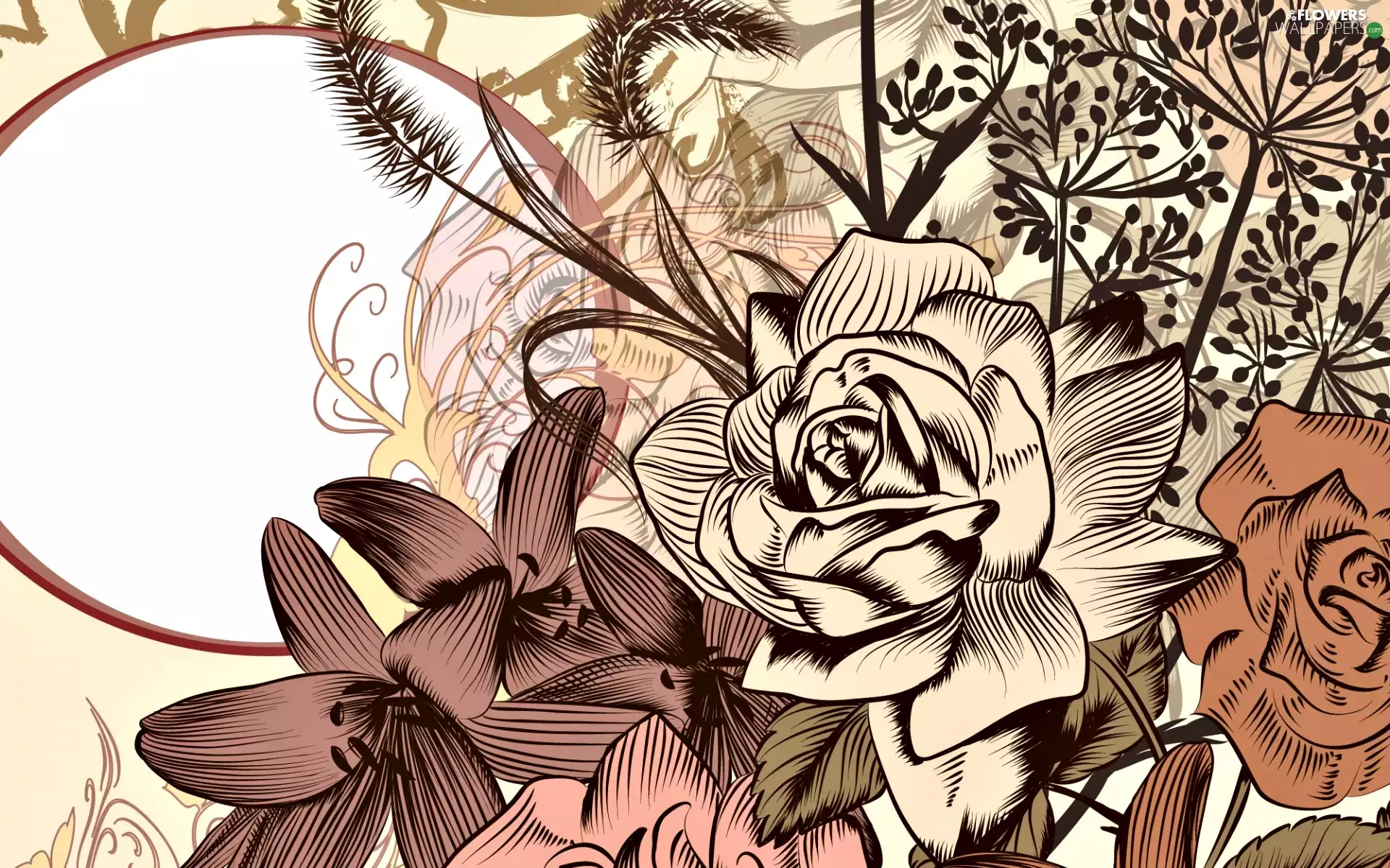 Flowers, lilies, 2D Graphics, roses