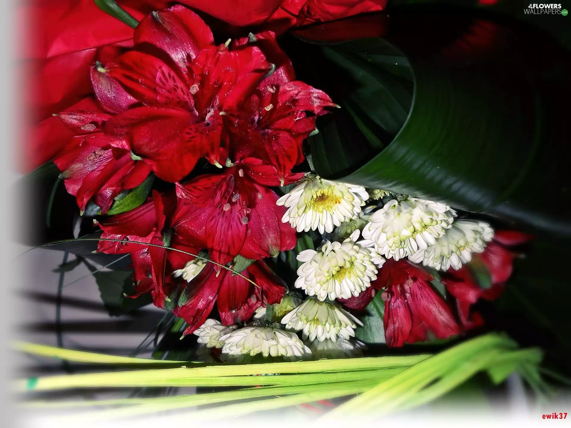 bouquet, Astra, Extras, lilies