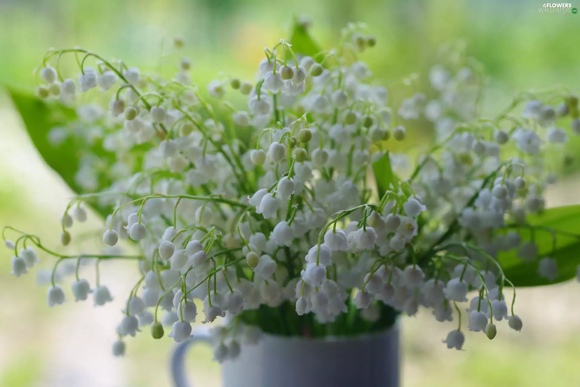 lilies, Flowers, bouquet