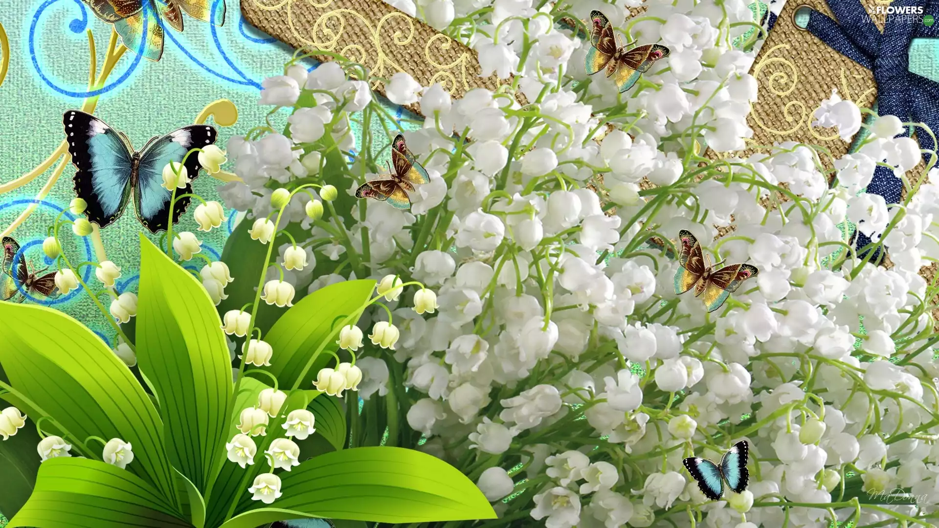 lilies, butterflies