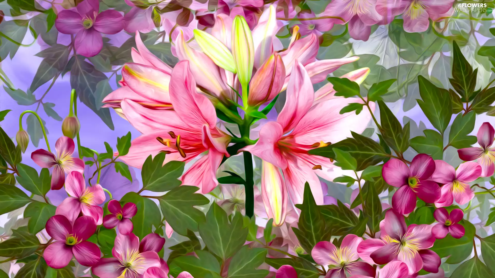Flowers, Clematis, graphics, lilies
