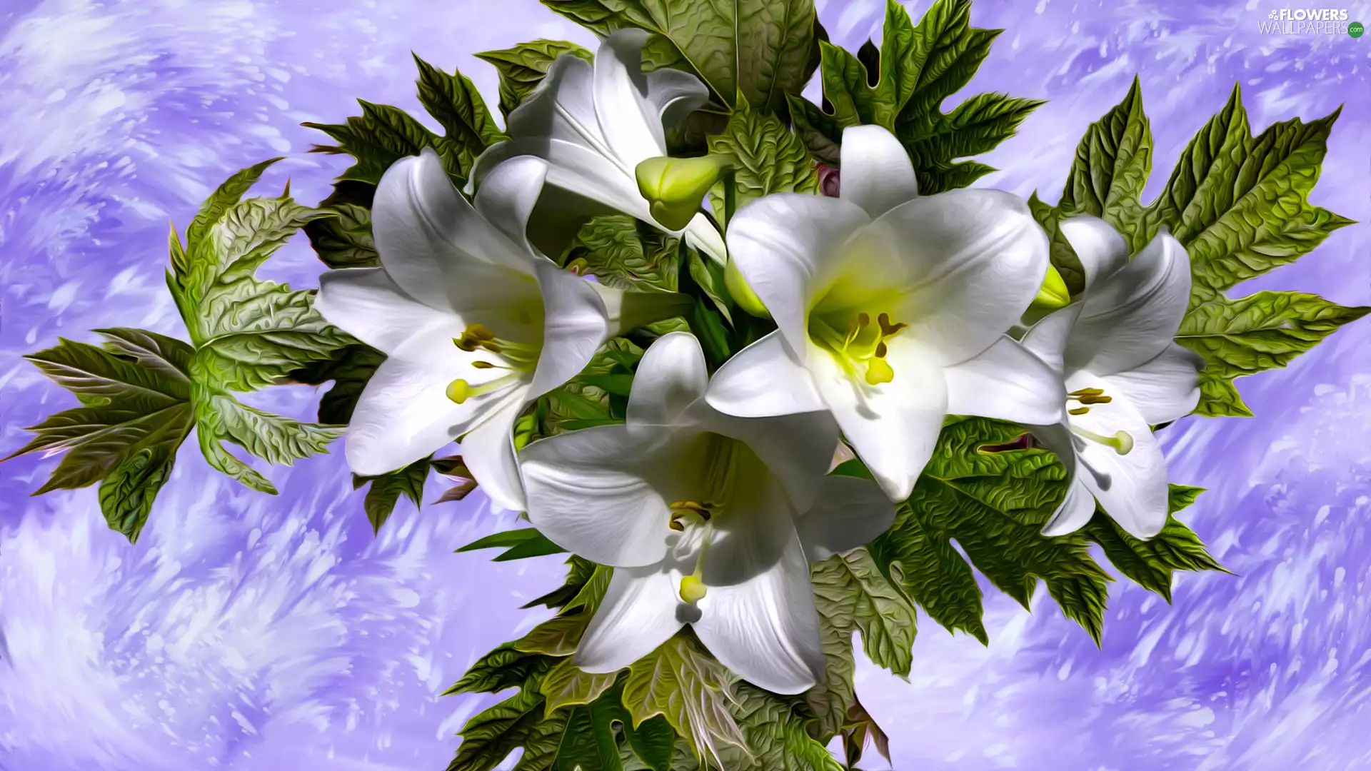 Flowers, leaves, graphics, lilies