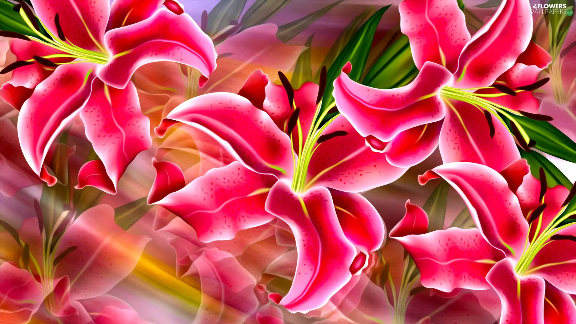 lilies, 2D Graphics