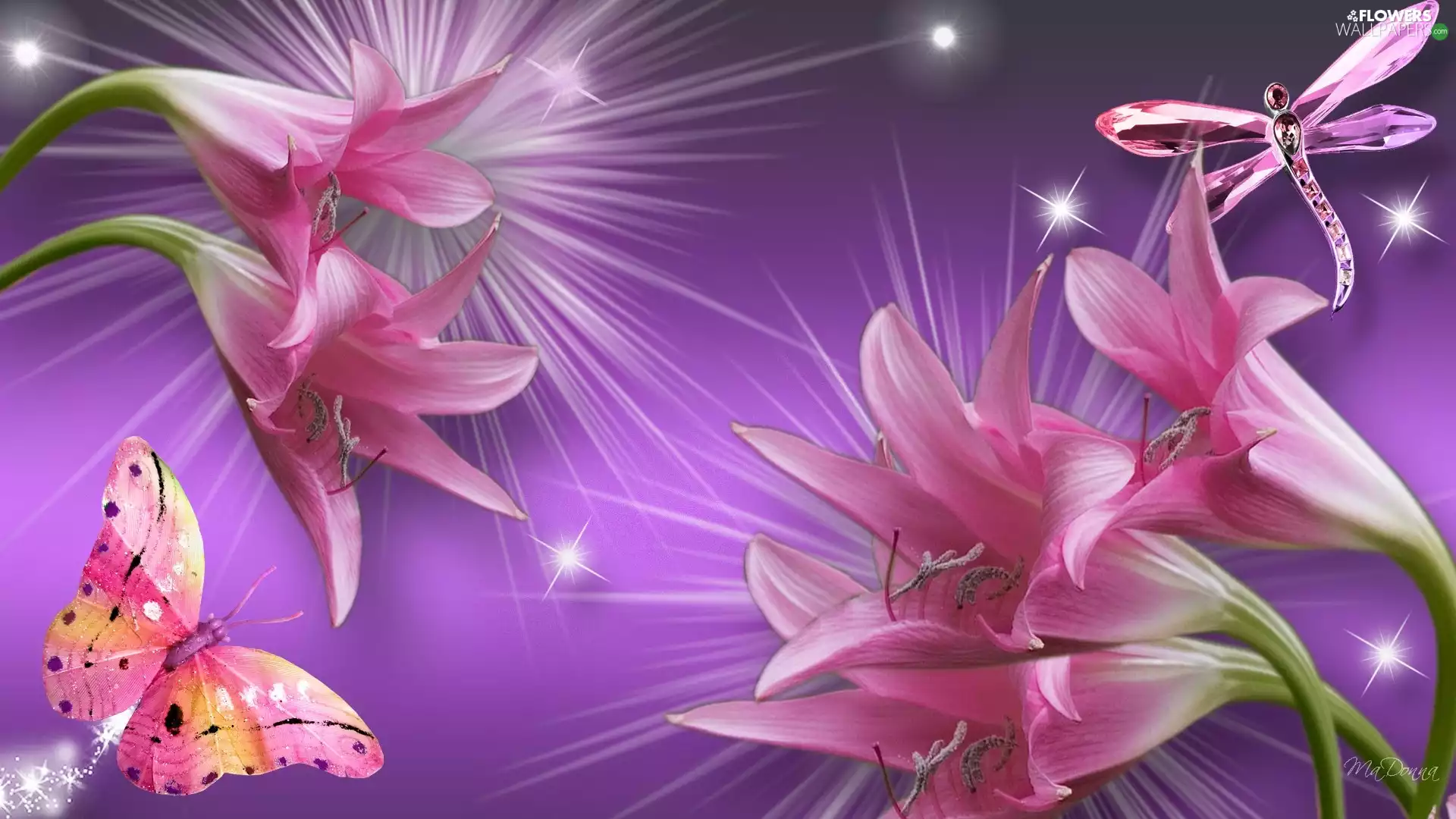 graphics, butterflies, Stars, lilies