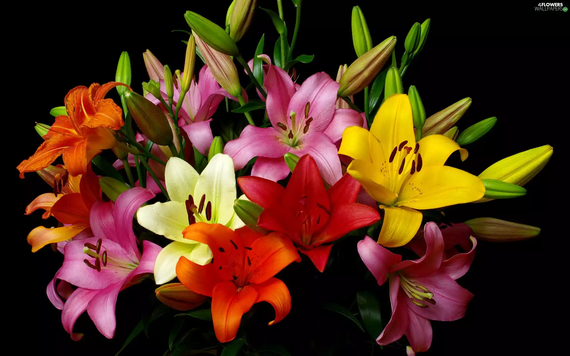 Pink, lilies, Yellow, Red, bouquet