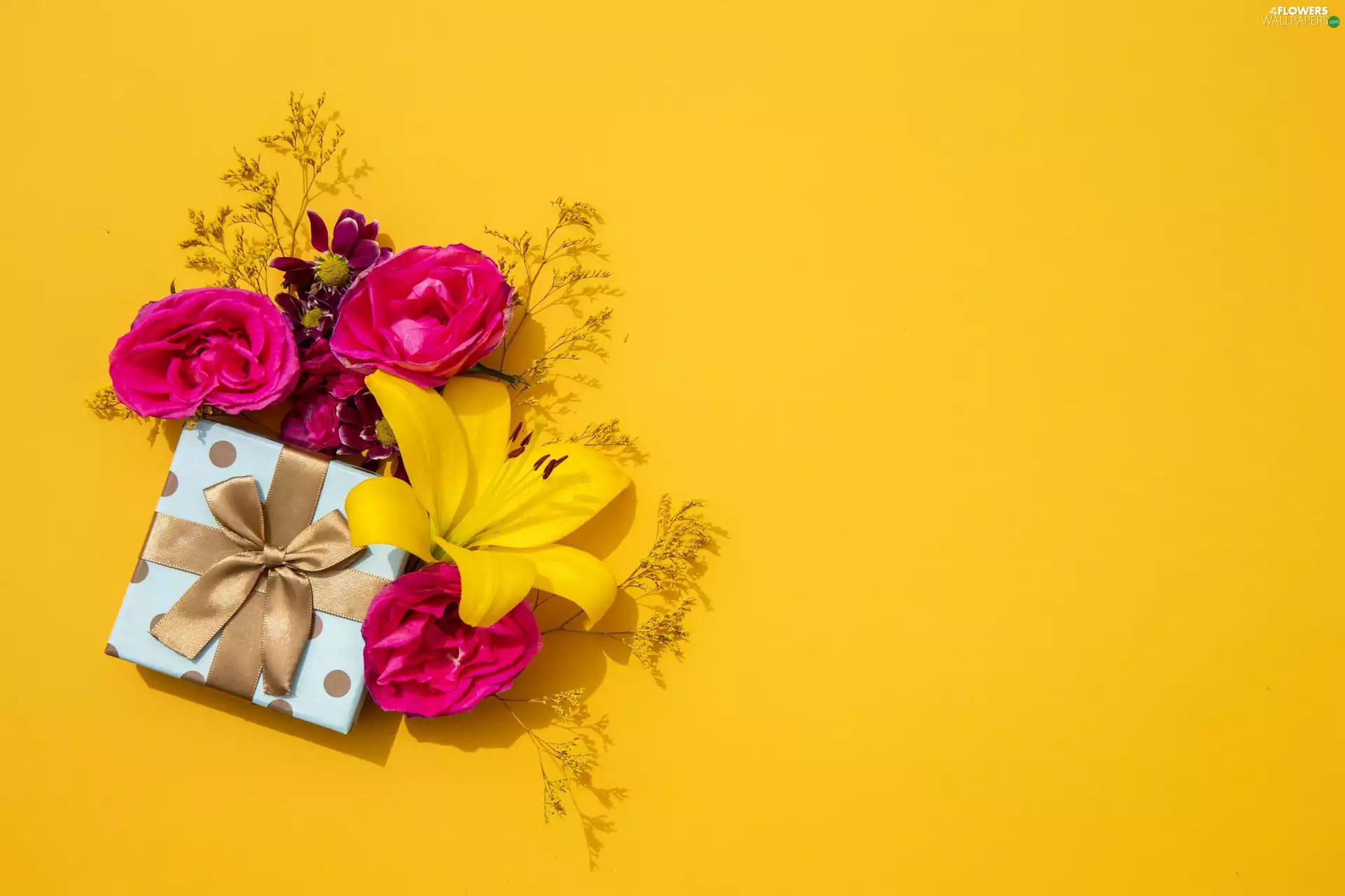 Present, roses, background, Lily, Flowers, ribbon, Yellow