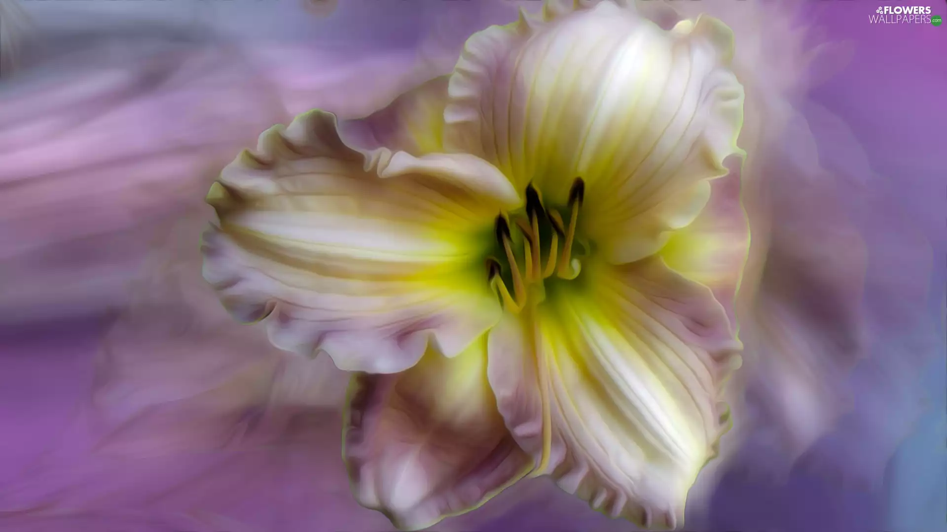 graphics, Colourfull Flowers, Lily