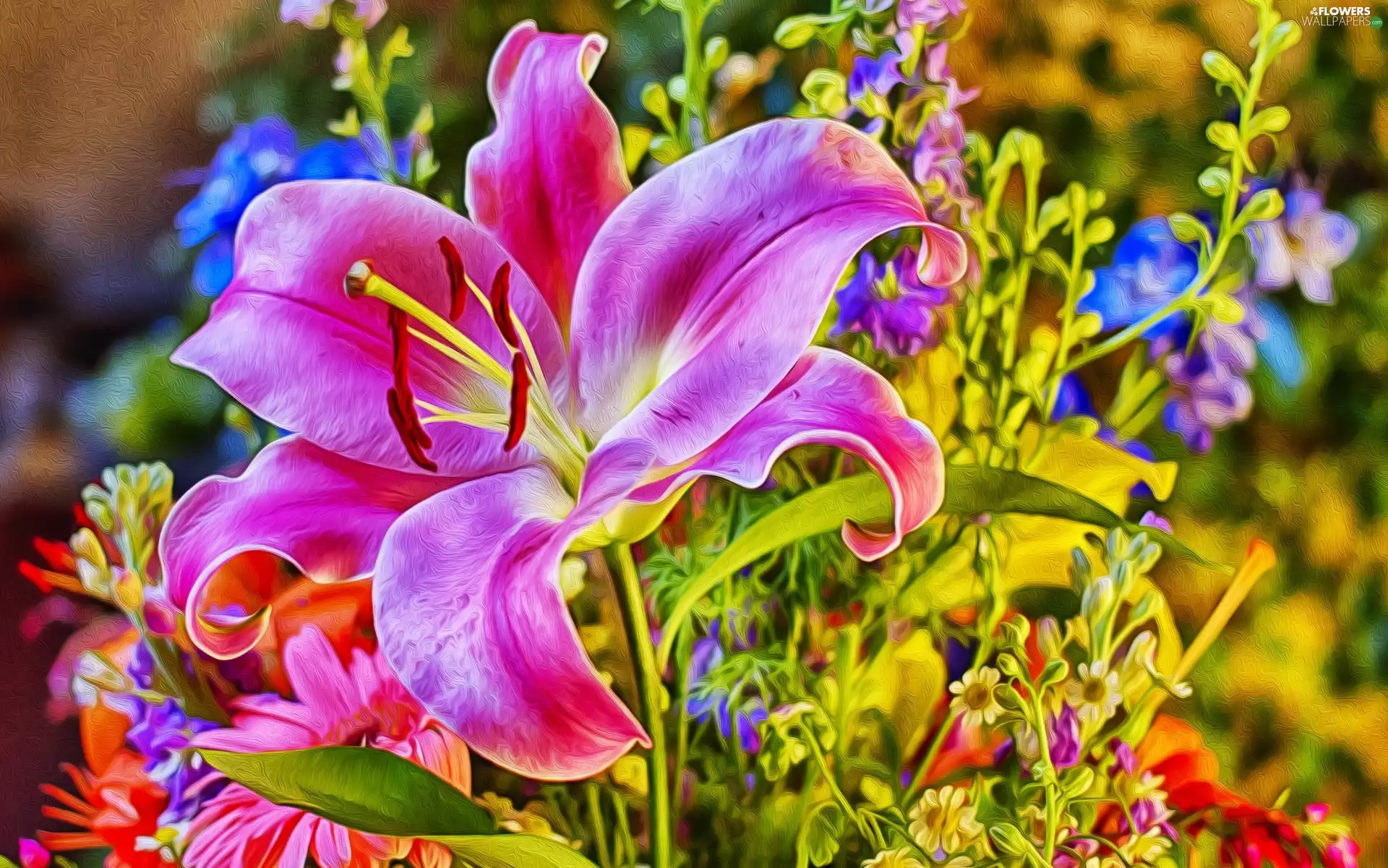 Lily, Flowers, Pink