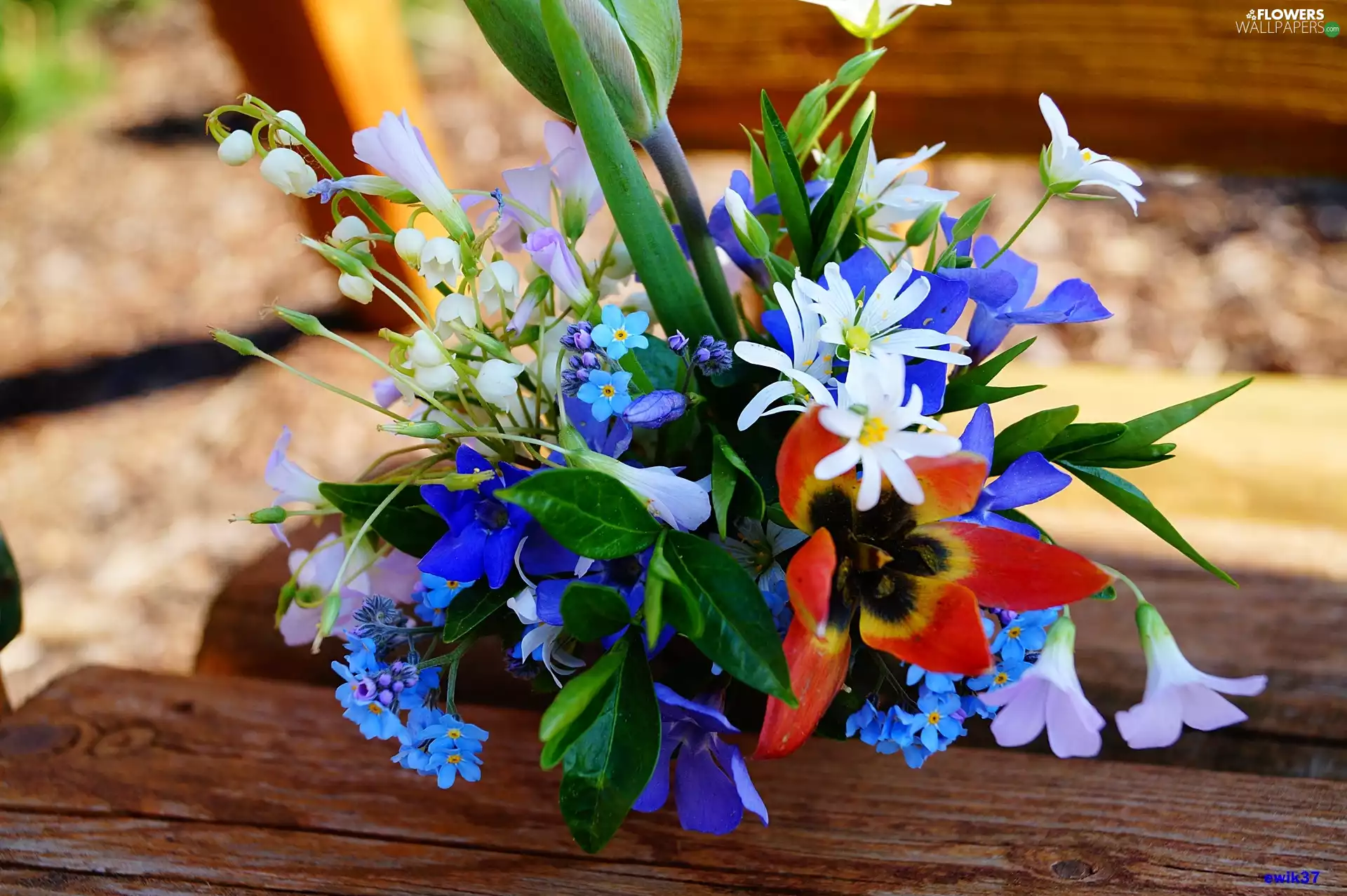 lily of the Valley, forget-me-not, Flowers, tulip, bouquet