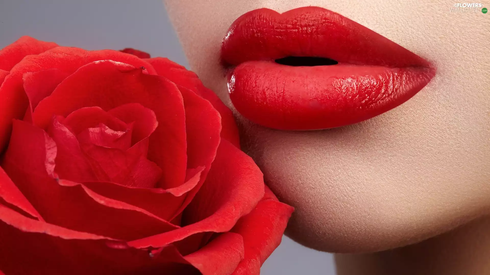 red hot, rose, lips, make-up, Women