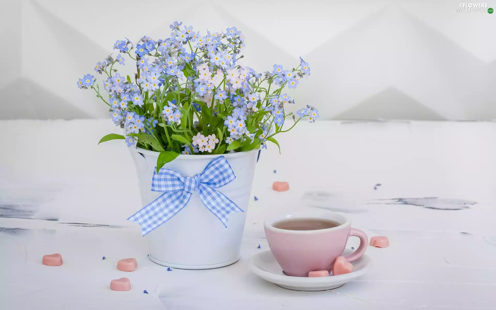 cup, lipstick, Forget, pot, bouquet