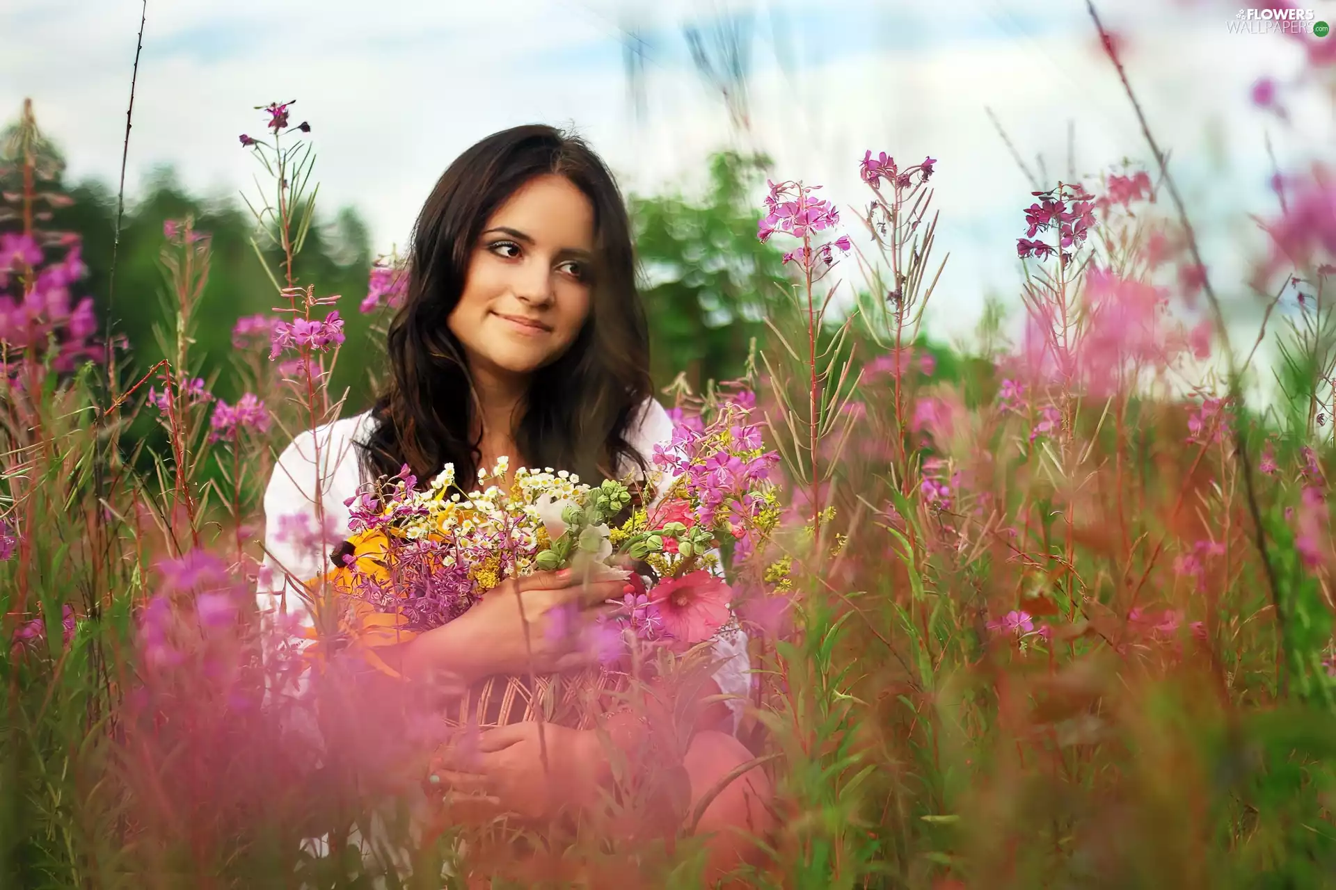 Flowers, bouquet, The look, Field, Women
