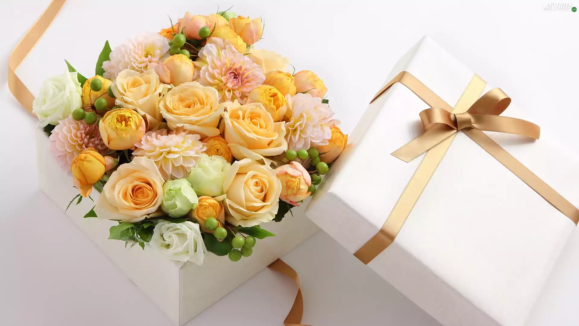 Box, roses, string, Loop, Present, dahlias