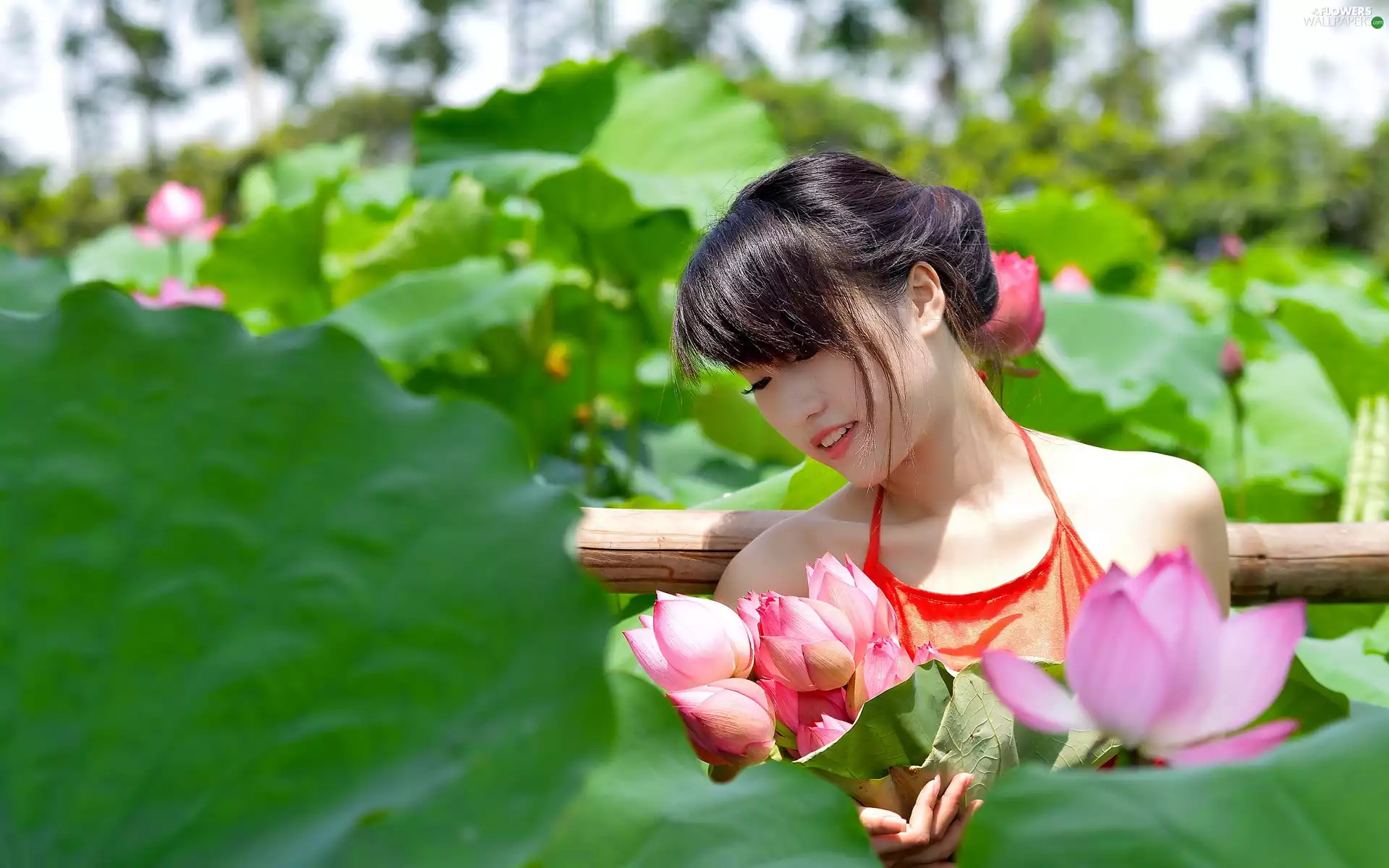 lotuses, brunette, Garden