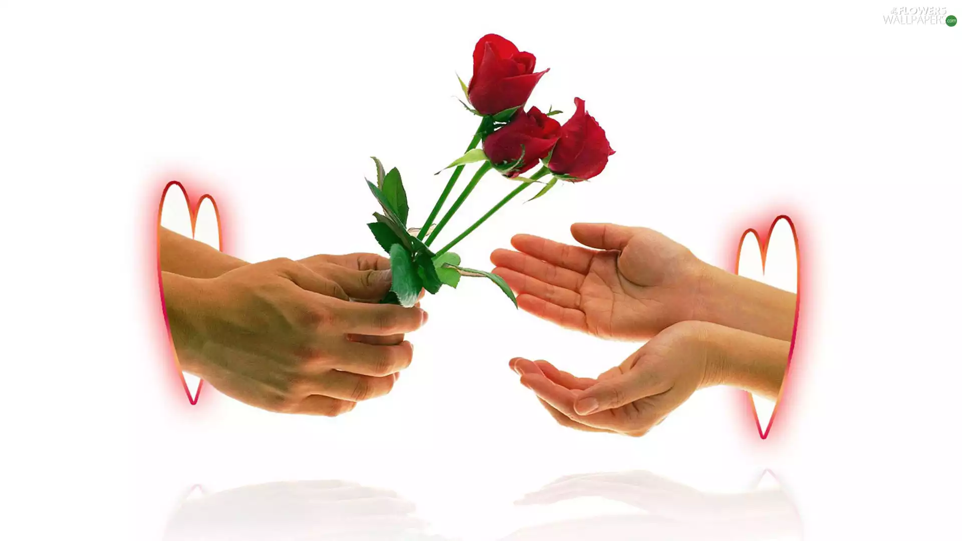 hands, Three, heart, love, Two cars, roses