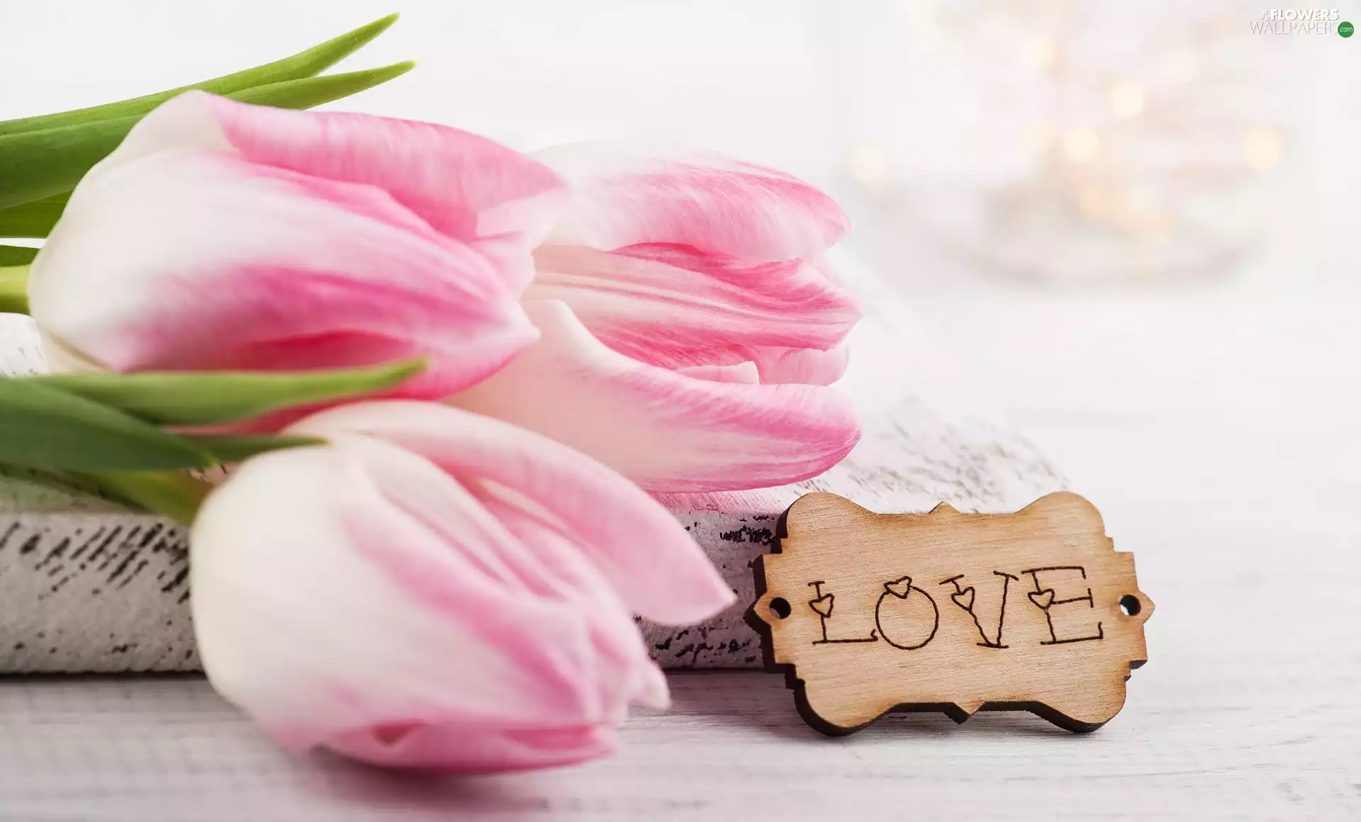 plate, pale pink, LOVE, Tulips, Three, text, love