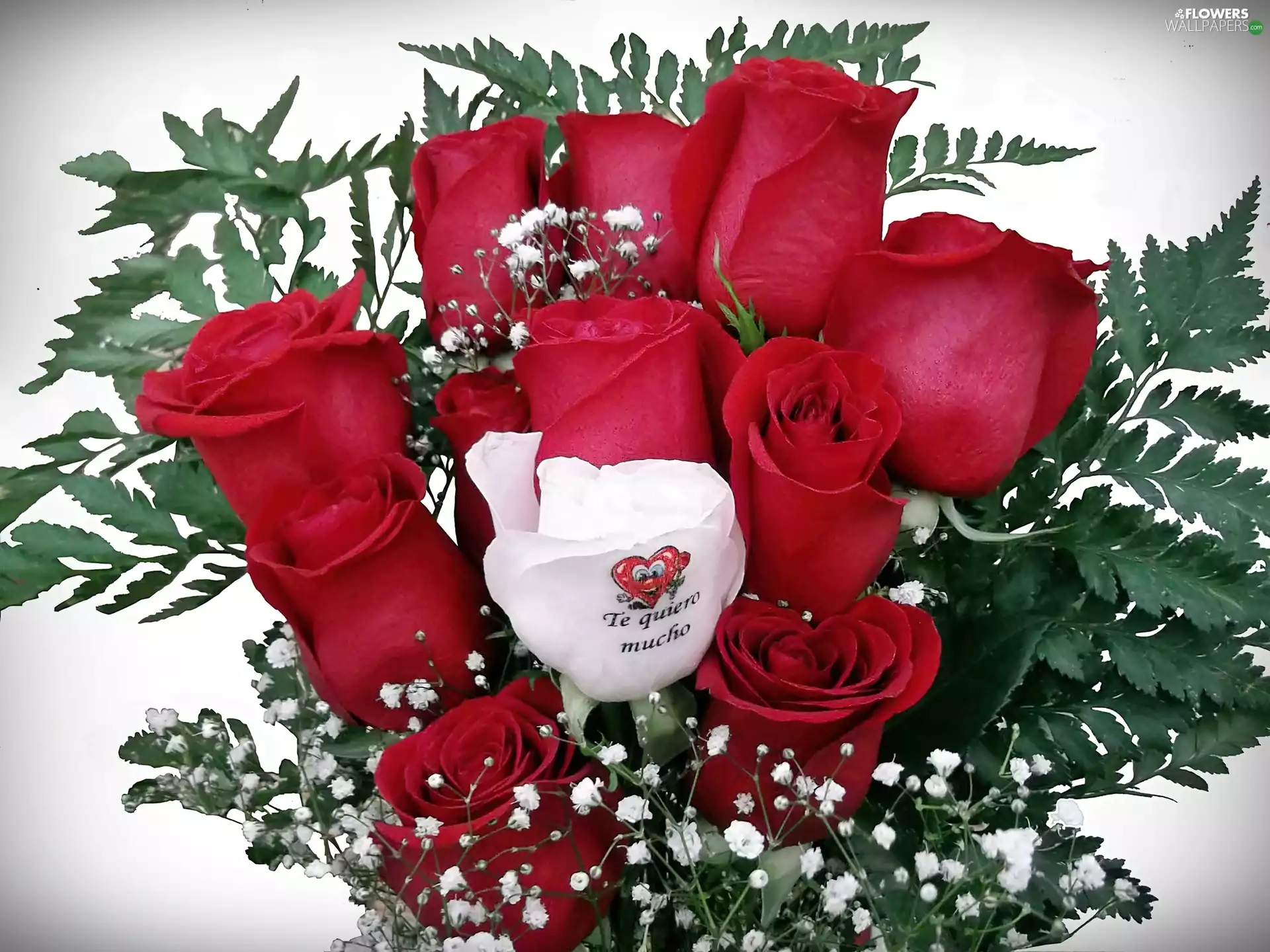 bouquet, Love things, confession, rouge