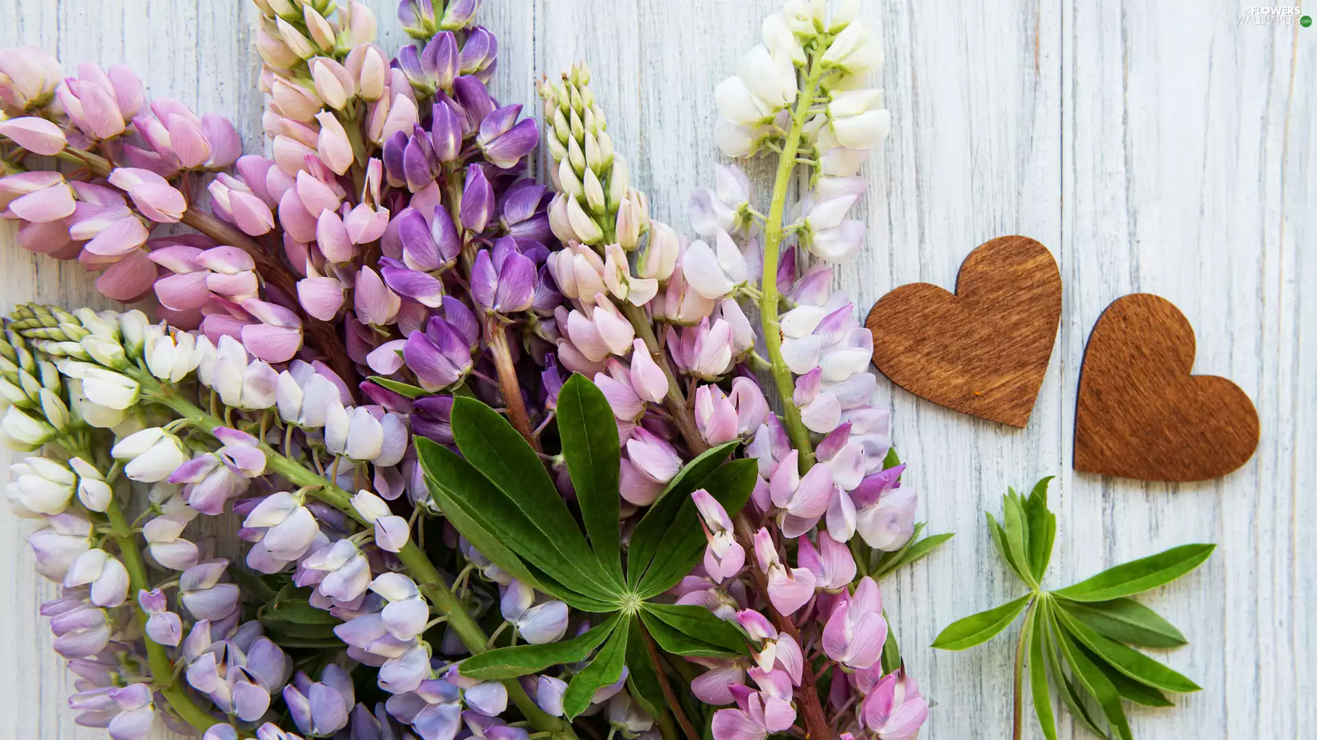 Flowers, heart, boarding, lupine