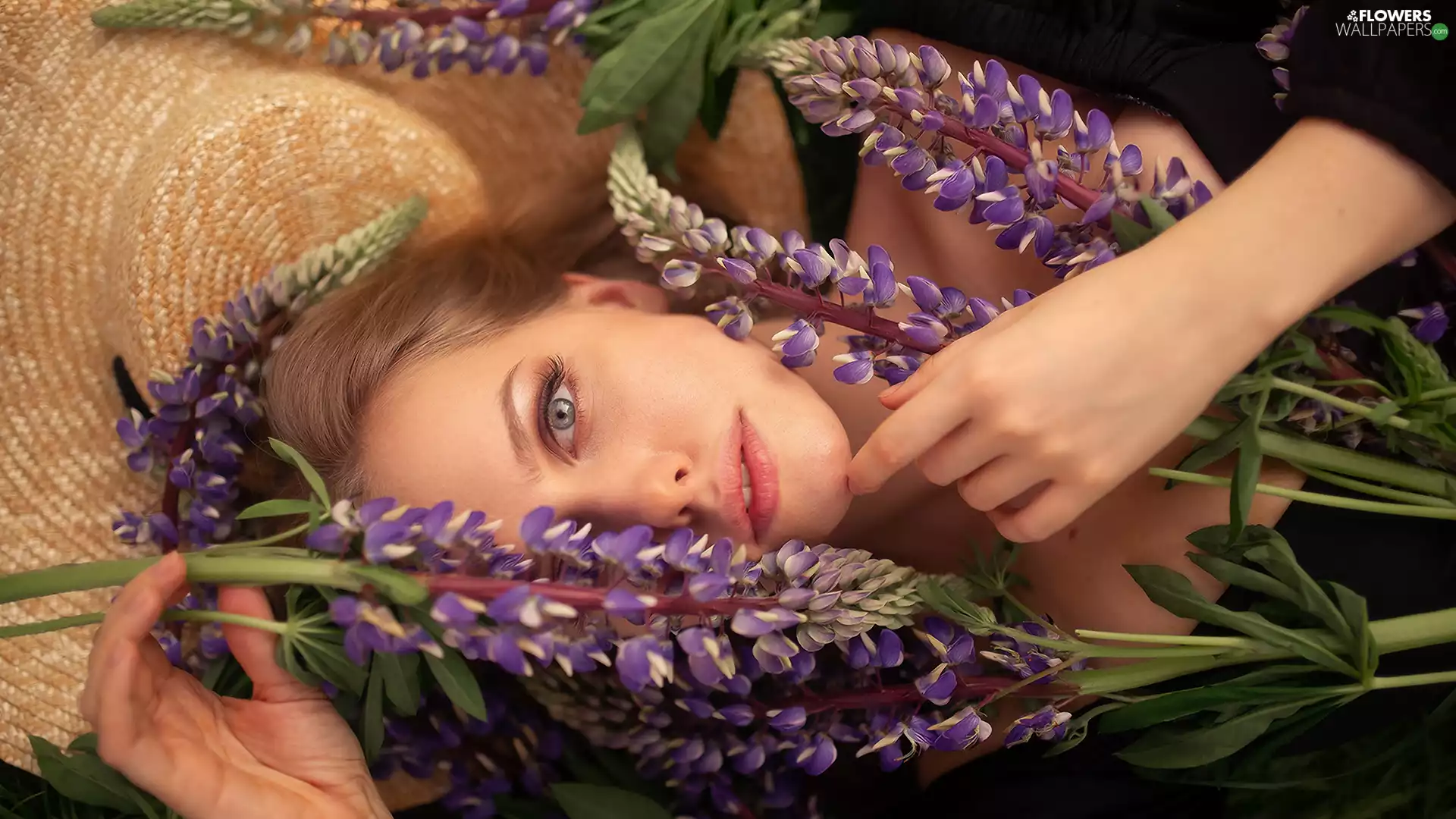lupine, Women, Flowers